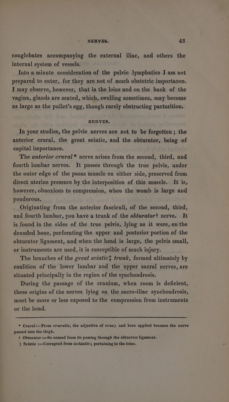 conglobates accompanying the external iliac, and others the internal system of vessels. Into a minute consideration of the pelvic lymphatics I am not prepared to enter, for they are not of much obstetric importance. I may observe, however, that in the loins and on the back of the vagina, glands are seated, which, swelling sometimes, may become as large as the pullet’s egg, though rarely obstructing parturition. NERVES. In your studies, the pelvic nerves are not to be forgotten; the anterior crural, the great sciatic, and the obturator, being of capital importance. The anterior crural* nerve arises from the second, third, and fourth lumbar nerves. It passes through the true pelvis, under the outer edge of the psoas muscle on either side, preserved from direct uterine pressure by the interposition of this muscle. It is, however, obnoxious to compression, when the womb is large and ponderous, | | Originating from the anterior fasciculi, of the second, third, and fourth lumbar, you have a trunk of the obturatort nerve. It is found in the sides of the true pelvis, lying as it were, on the denuded bone, perforating the upper and posterior portion of the obturator ligament, and when the head is large, the pelvis small, or instruments are used, it is susceptible of much injury. The branches of the great sciatic{ trunk, formed ultimately by coalition of the lower lumbar and the upper sacral nerves, are situated principally in the region of the synchondrosis. During the passage of the cranium, when room is deficient, these origins of the nerves lying on the sacro-iliac synchondrosis, must be more or less exposed to the compression from instruments or the head. * Crural:—From cruralis, the adjective of crws; and here applied because the nerve passed into the thigh. + Obturator :—So named from its passing through the obturator ligament. { Sciatic :—Corrupted from ischiatic; pertaining to the loins.