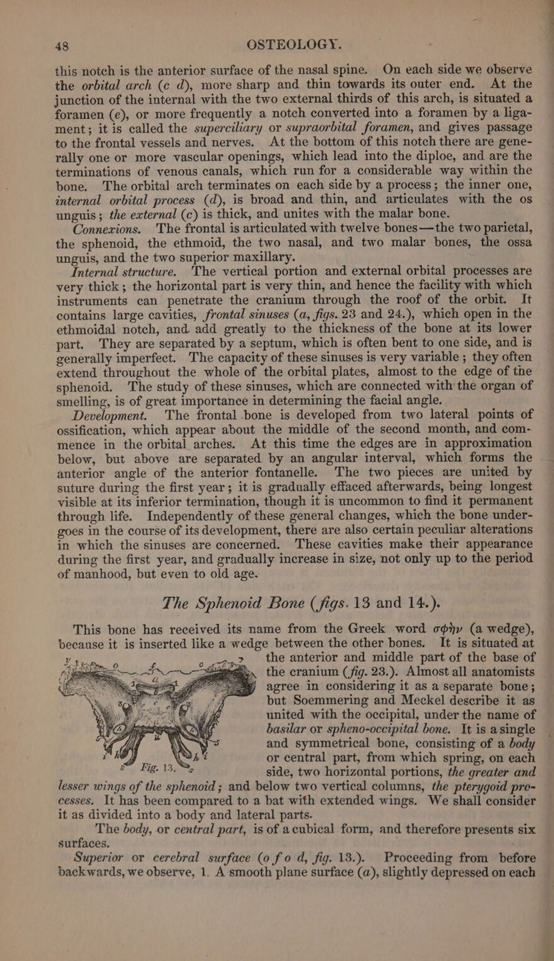 this notch is the anterior surface of the nasal spine. On each side we observe the orbital arch (c d), more sharp and thin towards its outer end. At the junction of the internal with the two external thirds of this arch, is situated a foramen (e), or more frequently a notch converted into a foramen by a liga- ment; it is called the superciliary or supraorbital foramen, and gives passage to the frontal vessels and nerves. At the bottom of this notch there are gene- rally one or more vascular openings, which lead into the diploe, and are the terminations of venous canals, which run for a considerable way within the bone. The orbital arch terminates on each side by a process; the inner one, internal orbital process (d), is broad and thin, and articulates with the os unguis; the external (c) is thick, and unites with the malar bone. Connexions. 'The frontal is articulated with twelve bones—the two parietal, the sphenoid, the ethmoid, the two nasal, and two malar bones, the ossa unguis, and the two superior maxillary. Internal structure. The vertical portion and external orbital processes are very thick; the horizontal part is very thin, and hence the facility with which instruments can penetrate the cranium through the roof of the orbit. It contains large cavities, frontal sinuses (a, figs. 23 and 24.), which open in the ethmoidal notch, and add greatly to the thickness of the bone at its lower part. They are separated by a septum, which is often bent to one side, and is generally imperfect. The capacity of these sinuses is very variable ; they often extend throughout the whole of the orbital plates, almost to the edge of the sphenoid. The study of these sinuses, which are connected with the organ of smelling, is of great importance in determining the facial angle. Development. The frontal bone is developed from two lateral points of ossification, which appear about the middle of the second month, and com- mence in the orbital arches. At this time the edges are in approximation below, but above are separated by an angular interval, which forms the anterior angle of the anterior fontanelle. The two pieces are united by suture during the first year; it is gradually effaced afterwards, being longest visible at its inferior termination, though it is uncommon to find it permanent through life. Independently of these general changes, which the bone under- goes in the course of its development, there are also certain peculiar alterations in which the sinuses are concerned. These cavities make their appearance during the first year, and gradually increase in size, not only up to the period of manhood, but even to old age. The Sphenoid Bone (figs. 13 and 14.). This bone has received its name from the Greek word opty (a wedge), because it is inserted like a wedge between the other bones. It is situated at the anterior and middle part of the base of the cranium (fig. 23.). Almost all anatomists agree in considering it as a separate bone; but Soemmering and Meckel describe it as united with the occipital, under the name of basilar or spheno-occipital bone. It is asingle and symmetrical bone, consisting of a body or central part, from which spring, on each side, two horizontal portions, the greater and lesser wings of the sphenoid ; and below two vertical columns, the pterygoid pre- cesses. It has been compared to a bat with extended wings. We shall consider it as divided into a body and lateral parts. The body, or central part, is of acubical form, and therefore presents six surfaces. Superior or cerebral surface (o fo d, fig. 13.). Proceeding from before backwards, we observe, 1. A smooth plane surface (a), slightly depressed on each