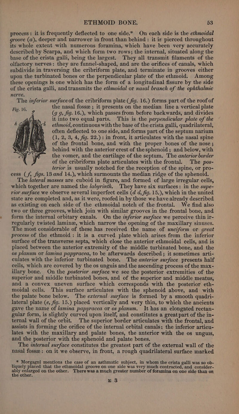 process: it is frequently deflected to one side.* On each side is the ethmoidal groove (a), deeper and narrower in front than behind : it is pierced throughout its whole extent with numerous foramina, which have been very accurately described by Scarpa, and which form two rows; the internal, situated along the base of the crista galli, being the largest. They all transmit filaments of the olfactory nerves: they are funnel-shaped, and are the orifices of canals, which subdivide in traversing the cribriform plate, and terminate in grooves either upon the turbinated bones or the perpendicular plate of the ethmoid. Among these openings ts one which has the form of a longitudinal fissure by the side of the crista galli, andtransmits the ethmoidal or nasal branch of the ophthalmic nerve. The inferior surface of the cribriform plate (fig. 16.) forms part of the roof of the nasal fosse ; it presents on the median line a vertical plate (9 9, fig. 16.), which passes from before backwards, and divides it into two equal parts. This is the perpendicular plate of the ethmord, continuous with the base of the crista galli, quadrilateral, often deflected to one side, and forms part of the septum narium (1, 2, 3, 4, fig. 22.): in front, it articulates with the nasal spine of the frontal bone, and with the proper bones of the nose; behind with the anterior crest of the sphenoid ; and below, with the vomer, and the cartilage of the septum. The anterior border of the cribriform plate articulates with the frontal. The pos- terior is usually notched for the reception of the spine, or pro- eess (f, figs. 13 and 14.), which surmounts the median ridge of the sphenoid. The lateral masses are cuboid in figure, and formed of large irregular cells, which together are named the labyrinth. They have six surfaces: in the supe- rior surface we observe several imperfect cells (d d, fig. 15.), which in the united state are completed and, as it were, roofed in by those we have already described as existing on each side of the ethmoidal notch of the frontal. We find also two or three grooves, which join with similar grooves in the frontal bone, and form the internal orbitary canals. On the inferior surface we perceive thin ir- regularly twisted lamine, which narrow the opening of the maxillary sinuses. The most considerable of these has received the name of unciform or great process of the ethmoid : it is a curved plate which arises from the inferior surface of the transverse septa, which close the anterior ethmoidal cells, and is placed between the anterior extremity of the middle turbinated bone, and the os planum or lamina papyracea, to be afterwards described ; it sometimes arti- culates with the inferior turbinated bone. The anterior surface presents half cells, which are covered by the os unguis and the ascending process of the max- illary bone. On the posterior surface we see the posterior extremities of the superior and middle turbinated bones, and of the superior and middle meatus, and a convex uneven surface which corresponds with the posterior eth- moidal cells. This surface articulates with the sphenoid above, and with the palate bone below. ‘The external surface is formed by a smooth quadri- lateral plate (e, fig. 15.) placed vertically and very thin, to which the ancients gave the name of lamina papyracea or os planum. It has an elongated rectan- gular form, is slightly curved upon itself, and constitutes a great part of the in- ternal wall of the orbit. The superior border articulates with the frontal, and assists in forming the orifice of the internal orbital canals; the inferior articu- lates with the maxillary and palate bones, the anterior with the os unguis, and the posterior with the sphenoid and palate bones. The internal surface constitutes the greatest part of the external wall of the nasal fossze: on it we observe, in front, a rough quadrilateral surface marked * Morgagni mentions the case of an asthmatic subject, in whom the crista galli was so ob- liquely placed that the ethmoidal groove on one side was very much contracted, and consider- ably enlarged on the other. There was a much greater number of foramina on one side than on the other. E 3