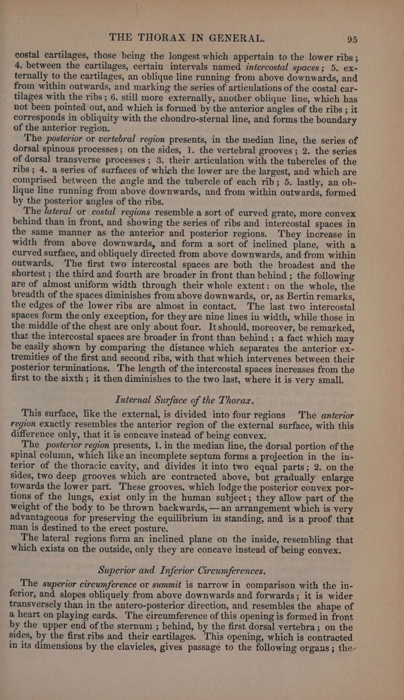 costal cartilages, those being the longest which appertain to the lower ribs ; 4. between the cartilages, certain intervals named intercostal spaces; 5. ex- ternally to the cartilages, an oblique line running from above downwards, and from within outwards, and marking the series of articulations of the costal car- tilages with the ribs; 6. still more externally, another oblique line, which has not been pointed out, and which is formed by the anterior angles of the ribs ; it corresponds in obliquity with the chondro-sternal line, and forms the boundary of the anterior region. The posterior or vertebral region presents, in the median line, the series of dorsal spinous processes; on the sides, 1. the vertebral grooves ; 2. the series of dorsal transverse processes; 3. their articulation with the tubercles of the ribs ; 4. a series of surfaces of which the lower are the largest, and which are comprised between the angle and the tubercle of each rib; 5. lastly, an ob- lique line running from above downwards, and from within outwards, formed by the posterior angles of the ribs. The lateral or costal regions resemble a sort of curved grate, more convex behind than in front, and showing the series of ribs and intercostal spaces in the same manner as the anterior and posterior regions. They increase in width from above downwards, and form a sort of inclined plane, with a curved surface, and obliquely directed from above downwards, and'from within outwards. The first two intercostal spaces are both the broadest and the shortest ; the third and fourth are broader in front than behind ; the following are of almost uniform width through their whole extent: on the whole, the breadth of the spaces diminishes from above downwards, or, as Bertin remarks, the edges of the lower ribs are almost in contact. The last two intercostal spaces form the only exception, for they are nine lines in width, while those in the middle of the chest are only about four. It should, moreover, be remarked, that the intercostal spaces are broader in front than behind ; a fact which may be easily shown by comparing the distance which separates the anterior ex- tremities of the first and second ribs, with that which intervenes between their posterior terminations. The length of the intercostal spaces increases from the first to the sixth ; it then diminishes to the two last, where it is very small. Internal Surface of the Thorax. This surface, like the external, is divided into four regions The anterior region exactly resembles the anterior region of the external surface, with this difference only, that it is concave instead of being convex. The posterior region presents, 1. in the median line, the dorsal portion of the spinal column, which like an incomplete septum forms a projection in the in- terior of the thoracic cavity, and divides it into two equal parts; 2. on the sides, two deep grooves which are contracted above, but gradually enlarge towards the lower part. These grooves, which lodge the posterior convex por- tions of the lungs, exist only in the human subject; they allow part of the weight of the body to be thrown backwards, —an arrangement which is very advantageous for preserving the equilibrium in standing, and is a proof that man is destined to the erect posture. The lateral regions form an inclined plane on the inside, resembling that which exists on the outside, only they are concave instead of being convex. Superior and Inferior Circumferences. The superior circumference or summit is narrow in comparison with the in- ferior, and slopes obliquely from above downwards and forwards; it is wider transversely than in the antero-posterior direction, and resembles the shape of a heart on playing cards. The circumference of this opening is formed in front by the upper end of the sternum ; behind, by the first dorsal vertebra; on the sides, by the first ribs and their cartilages. This opening, which is contracted in its dimensions by the clavicles, gives passage to the following organs ; the.