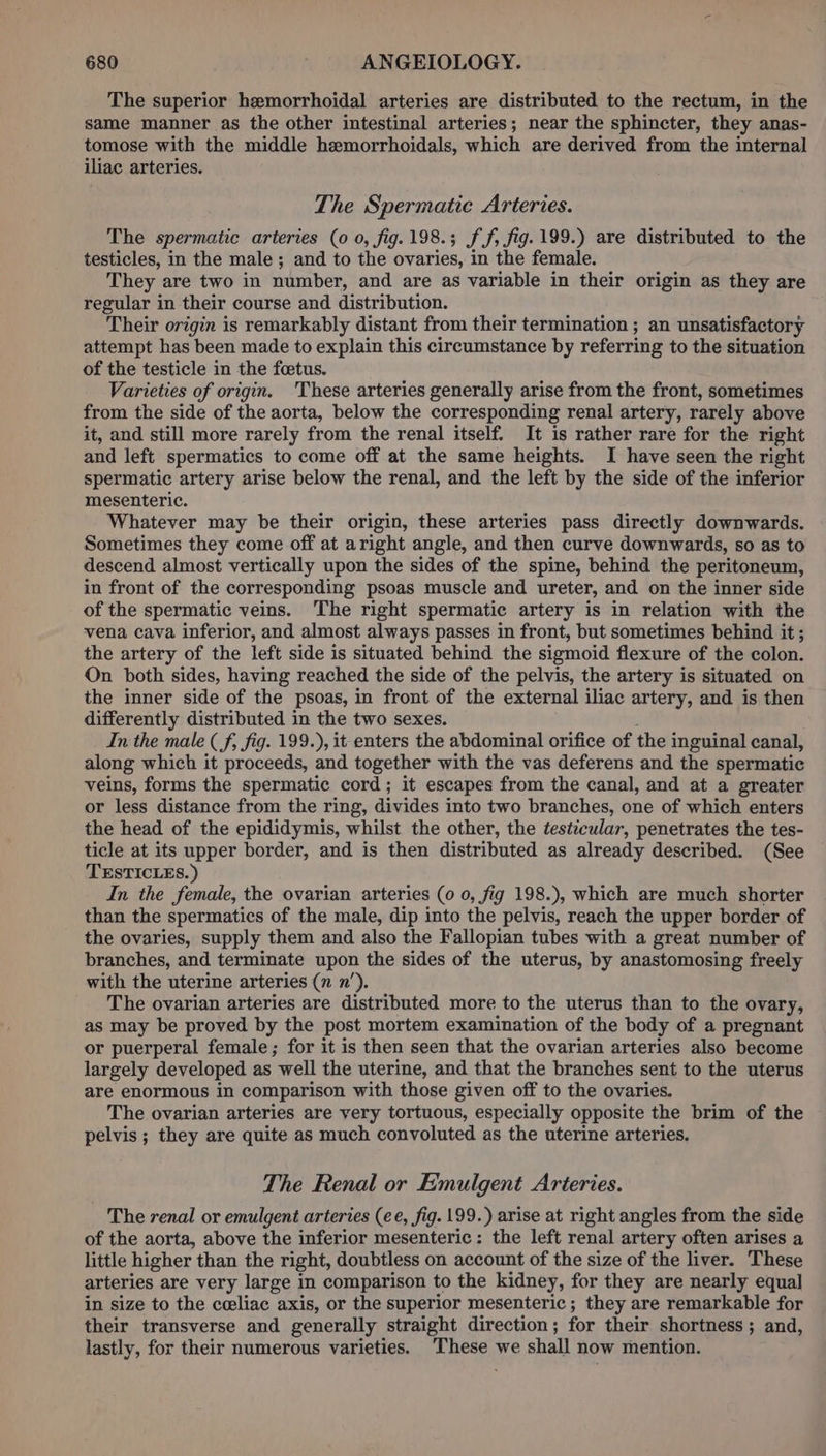 The superior hemorrhoidal arteries are distributed to the rectum, in the same manner as the other intestinal arteries; near the sphincter, they anas- tomose with the middle hemorrhoidals, which are derived from the internal iliac arteries. The Spermatie Arteries. The spermatic arteries (0 0, fig. 198.3 ff, fig. 199.) are distributed to the testicles, in the male; and to the ovaries, in the female. They are two in number, and are as variable in their origin as they are regular in their course and distribution. Their origin is remarkably distant from their termination ; an unsatisfactory attempt has been made to explain this circumstance by referring to the situation of the testicle in the foetus. Varieties of origin. 'These arteries generally arise from the front, sometimes from the side of the aorta, below the corresponding renal artery, rarely above it, and still more rarely from the renal itself. It is rather rare for the right and left spermatics to come off at the same heights. I have seen the right spermatic artery arise below the renal, and the left by the side of the inferior mesenteric. Whatever may be their origin, these arteries pass directly downwards. Sometimes they come off at aright angle, and then curve downwards, so as to descend almost vertically upon the sides of the spine, behind the peritoneum, in front of the corresponding psoas muscle and ureter, and on the inner side of the spermatic veins. ‘The right spermatic artery is in relation with the vena cava inferior, and almost always passes in front, but sometimes behind it ; the artery of the left side is situated behind the sigmoid flexure of the colon. On both sides, having reached the side of the pelvis, the artery is situated on the inner side of the psoas, in front of the external iliac artery, and is then differently distributed in the two sexes. In the male (f, fig. 199.), it enters the abdominal orifice of the inguinal canal, along which it proceeds, and together with the vas deferens and the spermatic veins, forms the spermatic cord; it escapes from the canal, and at a greater or less distance from the ring, divides into two branches, one of which enters the head of the epididymis, whilst the other, the testicular, penetrates the tes- ticle at its upper border, and is then distributed as already described. (See TESTICLES.) In the female, the ovarian arteries (0 0, fig 198.), which are much shorter than the spermatics of the male, dip into the pelvis, reach the upper border of the ovaries, supply them and also the Fallopian tubes with a great number of branches, and terminate upon the sides of the uterus, by anastomosing freely with the uterine arteries (n n’). The ovarian arteries are distributed more to the uterus than to the ovary, as may be proved by the post mortem examination of the body of a pregnant or puerperal female; for it is then seen that the ovarian arteries also become largely developed as well the uterine, and that the branches sent to the uterus are enormous in comparison with those given off to the ovaries. The ovarian arteries are very tortuous, especially opposite the brim of the pelvis ; they are quite as much convoluted as the uterine arteries. The Renal or Emulgent Arteries. The renal or emulgent arteries (ee, fig. 199.) arise at right angles from the side of the aorta, above the inferior mesenteric: the left renal artery often arises a little higher than the right, doubtless on account of the size of the liver. These arteries are very large in comparison to the kidney, for they are nearly equal in size to the cceliac axis, or the superior mesenteric; they are remarkable for their transverse and generally straight direction ; for their shortness ; ; and, lastly, for their numerous varieties. These we shall now mention.