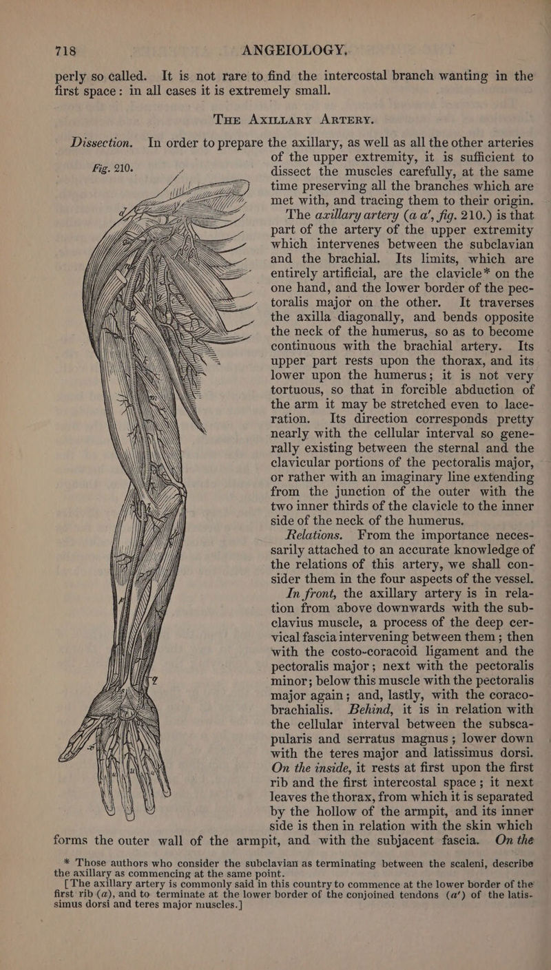 perly so called. It is not rare to find the intercostal branch wanting in the first space: in all cases it is extremely small. Toe AxILLARY ARTERY. Dissection. In order to prepare the axillary, as well as all the other arteries of the upper extremity, it is sufficient to fig. 210. Wi dissect the muscles carefully, at the same 3 time preserving all the branches which are met with, and tracing them to their origin. The axillary artery (a a’, fig. 210.) is that part of the artery of the upper extremity which intervenes between the subclavian and the brachial. Its limits, which are entirely artificial, are the clavicle* on the one hand, and the lower border of the pec- toralis major on the other. It traverses the axilla diagonally, and bends opposite the neck of the humerus, so as to become continuous with the brachial artery. Its upper part rests upon the thorax, and its lower upon the humerus; it is not very tortuous, so that in forcible abduction of the arm it may be stretched even to lace- ration. Its direction corresponds pretty nearly with the cellular interval so gene- rally existing between the sternal and the clavicular portions of the pectoralis major, or rather with an imaginary line extending from the junction of the outer with the two inner thirds of the clavicle to the inner side of the neck of the humerus. Relations. From the importance neces- sarily attached to an accurate knowledge of the relations of this artery, we shall con- sider them in the four aspects of the vessel. In front, the axillary artery is in rela- tion from above downwards with the sub- clavius muscle, a process of the deep cer- vical fascia intervening between them ; then with the costo-coracoid ligament and the pectoralis major; next with the pectoralis minor; below this muscle with the pectoralis major again; and, lastly, with the coraco- brachialis. Behind, it is in relation with the cellular interval between the subsca- pularis and serratus magnus ; lower down with the teres major and latissimus dorsi. On the inside, it rests at first upon the first rib and the first intercostal space; it next leaves the thorax, from which it is separated by the hollow of the armpit, and its inner side is then in relation with the skin which forms the outer wall of the armpit, and with the subjacent fascia. On the * Those authors who consider the subclavian as terminating between the scaleni, describe the axillary as commencing at the same point. { The axillary artery is commonly said in this country to commence at the lower border of the first rib (a), and to terminate at the lower border of the conjoined tendons (a@’) of the latis- simus dorsi and teres major muscles. ]