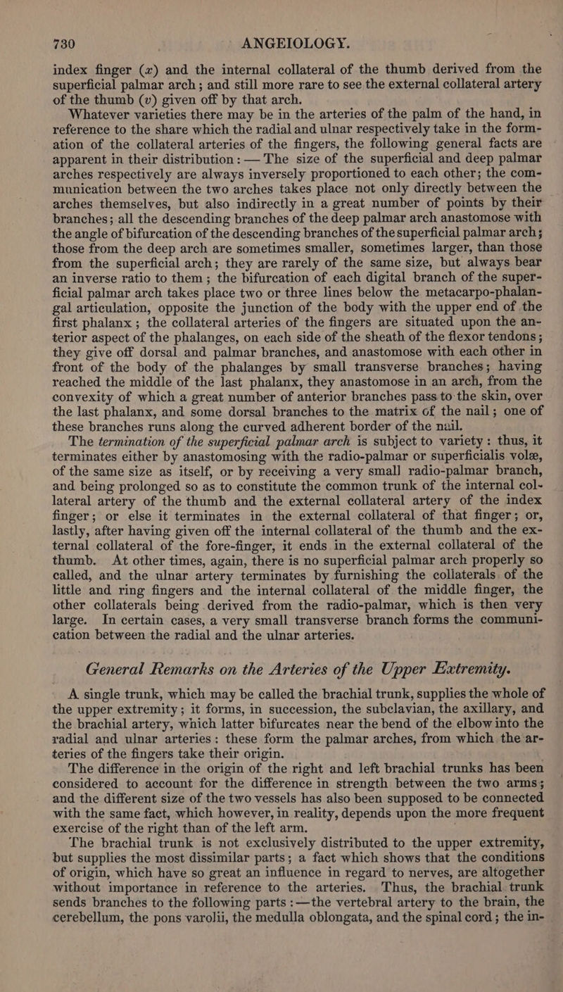 index finger (x) and the internal collateral of the thumb derived from the superficial palmar arch ; and still more rare to see the external collateral artery of the thumb (v) given off by that arch. Whatever varieties there may be in the arteries of the palm of the hand, in reference to the share which the radial and ulnar respectively take in the form- ation of the collateral arteries of the fingers, the following general facts are apparent in their distribution: — The size of the superficial and deep palmar arches respectively are always inversely proportioned to each other; the com- munication between the two arches takes place not only directly between the arches themselves, but also indirectly in a great number of points by their branches; all the descending branches of the deep palmar arch anastomose with the angle of bifurcation of the descending branches of the superficial palmar arch; those from the deep arch are sometimes smaller, sometimes larger, than those from the superficial arch; they are rarely of the same size, but always bear an inverse ratio to them ; the bifurcation of each digital branch of the super- ficial palmar arch takes place two or three lines below the metacarpo-phalan- gal articulation, opposite the junction of the body with the upper end of the first phalanx ; the collateral arteries of the fingers are situated upon the an- terior aspect of the phalanges, on each side of the sheath of the flexor tendons ; they give off dorsal and palmar branches, and anastomose with each other in front of the body of the phalanges by small transverse branches; having reached the middle of the last phalanx, they anastomose in an arch, from the convexity of which a great number of anterior branches pass to the skin, over the last phalanx, and some dorsal branches to the matrix of the nail; one of these branches runs along the curved adherent border of the nail. The termination of the superficial palmar arch is subject to variety: thus, it terminates either by anastomosing with the radio-palmar or superficialis vole, of the same size as itself, or by receiving a very small radio-palmar branch, and. being prolonged so as to constitute the common trunk of the internal col- lateral artery of the thumb and the external collateral artery of the index finger; or else it terminates in the external collateral of that finger; or, lastly, after having given off the internal collateral of the thumb and the ex- ternal collateral of the fore-finger, it ends in the external collateral of the thumb. At other times, again, there is no superficial palmar arch properly so called, and the ulnar artery terminates by furnishing the collaterals. of the little and ring fingers and the internal collateral of the middle finger, the other collaterals being derived from the radio-palmar, which is then very large. In certain cases, a very small transverse branch forms the communi- cation between the radial and the ulnar arteries. General Remarks on the Arteries of the Upper Extremity. A single trunk, which may be called the brachial trunk, supplies the whole of the upper extremity; it forms, in succession, the subclavian, the axillary, and the brachial artery, which latter bifurcates near the bend of the elbow into the radial and ulnar arteries: these form the palmar arches, from which. the ar- teries of the fingers take their origin. The difference in the origin of the right and left brachial trunks has been considered to account for the difference in strength between the two arms; and the different size of the two vessels has also been supposed to be connected with the same fact, which however, in reality, depends upon the more frequent exercise of the right than of the left arm. ; The brachial trunk is not exclusively distributed to the upper extremity, but supplies the most dissimilar parts; a fact which shows that the conditions of origin, which have so great an influence in regard to nerves, are altogether without importance in reference to the arteries. Thus, the brachial. trunk sends branches to the following parts :—the vertebral artery to the brain, the cerebellum, the pons varolii, the medulla oblongata, and the spinal cord; the in-