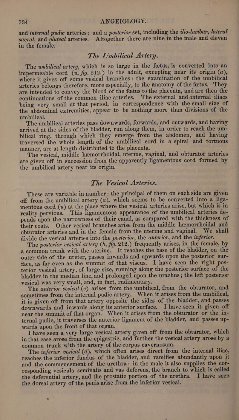 and internal pudic arteries; and a posterior set, including the ¢lio-lumbar, lateral sacral, and gluteal arteries. Altogether there are nine in the male and eleven in the female. ; The Umbilical Artery. The umbilical artery, which is so large in the fetus, is converted into an impermeable cord (u, fig. 212.) in the adult, excepting near its origin (a), where it gives off some vesical branches: the examination of the umbilical arteries belongs therefore, more especially, to the anatomy of the foetus. They are intended to convey the blood of the faetus to the placenta, and are then the continuations of the common iliac arteries. The external and-internal iliacs being very small at that period, in correspondence with the small size of the abdominal extremities, appear to be nothing more than divisions of the umbilical. The umbilical arteries pass downwards, forwards, and outwards, and having arrived at the sides of the bladder, run along them, in order to reach the um- bilical ring, through which they emerge from the abdomen, and having traversed the whole length of the umbilical cord in a spiral and tortuous manner, are at length distributed to the placenta. The vesical, middle hemorrhoidal, uterine, vaginal, and obturator arteries are given off in succession from the apparently ligamentous cord formed by the umbilical artery near its origin. The Vesical Arteries. These are variable in number: the principal of them on each side are given off from the umbilical artery (a), which seems to be converted into a liga- mentous cord (u) at the place where the vesical arteries arise, but which is in reality pervious. This ligamentous appearance of the umbilical arteries de- pends upon the narrowness of their canal, as compared with the thickness of their coats. Other vesical branches arise from the middle hemorrhoidal and obturator arteries and in the female from the uterine and vaginal. We shall divide the vesical arteries into the posterior, the anterior, and the infertor. The posterior vesical artery (6, fig. 212.) frequently arises, in the female, by a common trunk with the uterine. It reaches the base of the bladder, on the outer side of the ureter, passes inwards and upwards upon the posterior sur- face, as far even as the summit of that viscus. I have seen the right pos- terior vesical artery, of large size, running along the posterior surface of the bladder in the median line, and prolonged upon the urachus ; the left posterior vesical was very small, and, in fact, rudimentary. The anterior vesical (c) arises from the umbilical, from the obturator, and sometimes from the internal pudic artery. When it arises from the umbilical, it is given off from that artery opposite the sides of the bladder, and passes downwards and inwards along its anterior surface. I have seen it given off near the summit of that organ. When it arises from the obturator or the in- ternal pudic, it traverses the anterior ligament of the bladder, and passes up- wards upon the front of that organ. I have seen a very large vesical artery given off from the obturator, which in that case arose from the epigastric, and further the vesical artery arose by a common trunk with the artery of the corpus cavernosum. The inferior vesical (d), which often arises direct from the internal iliac, reaches the inferior fundus of the bladder, and ramifies abundantly upon it and the commencement of the urethra: in the male it also supplies the cor- responding vesicula seminalis and vas deferens, the branch to which is called the deferential artery, and the prostatic portion of the urethra. I have seen the dorsal artery of the penis arise from the inferior vesical.