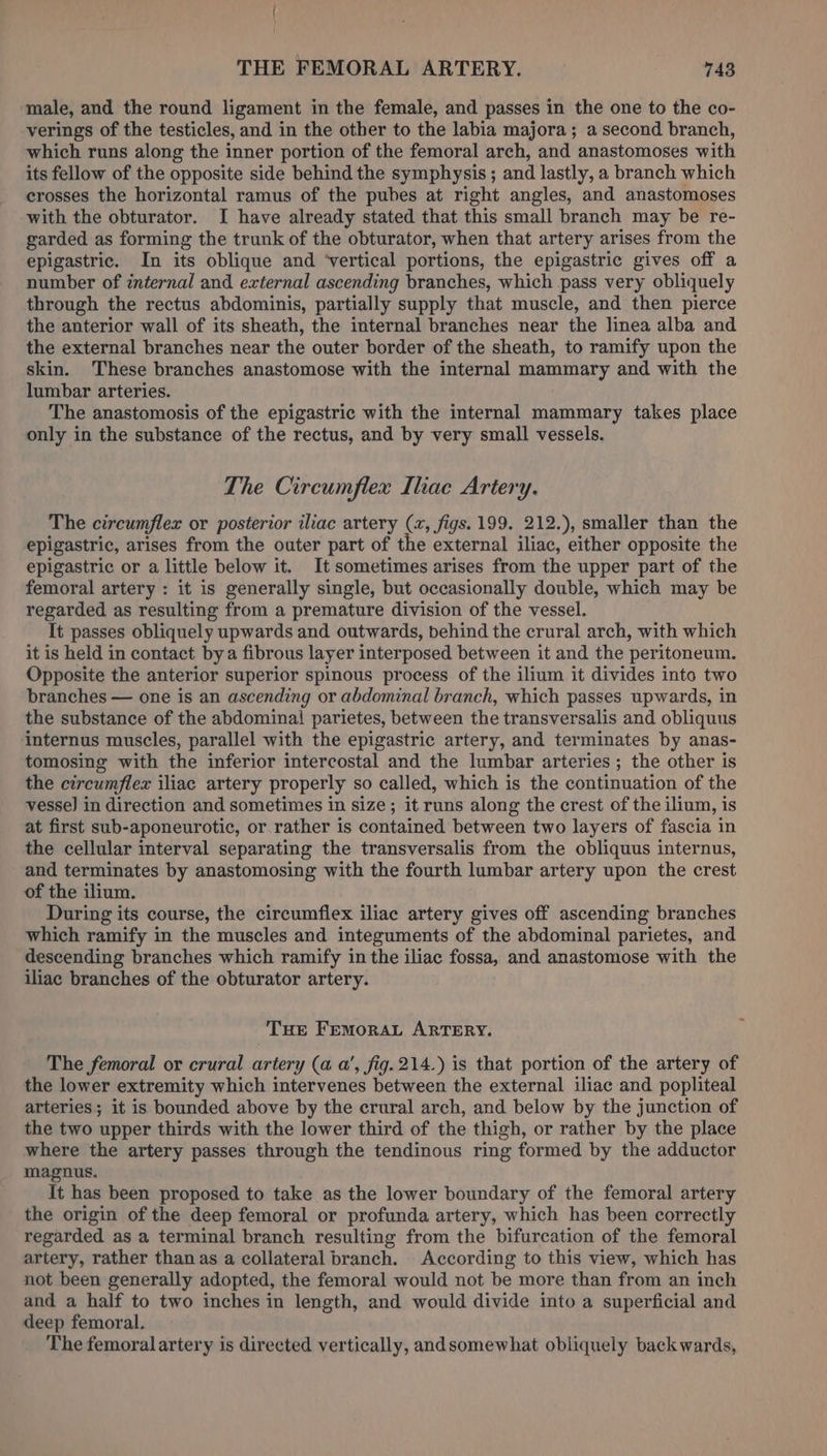 male, and the round ligament in the female, and passes in the one to the co- verings of the testicles, and in the other to the labia majora; a second branch, which runs along the inner portion of the femoral arch, and anastomoses with its fellow of the opposite side behind the symphysis; and lastly, a branch which crosses the horizontal ramus of the pubes at right angles, and anastomoses with the obturator. I have already stated that this small branch may be re- garded as forming the trunk of the obturator, when that artery arises from the epigastric. In its oblique and ‘vertical portions, the epigastric gives off a number of internal and external ascending branches, which pass very obliquely through the rectus abdominis, partially supply that muscle, and then pierce the anterior wall of its sheath, the internal branches near the linea alba and the external branches near the outer border of the sheath, to ramify upon the skin. These branches anastomose with the internal mammary and with the lumbar arteries. The anastomosis of the epigastric with the internal mammary takes place only in the substance of the rectus, and by very small vessels. The Circumflex Ihac Artery. The circumflex or posterior iliac artery (x, figs. 199. 212.), smaller than the epigastric, arises from the outer part of the external iliac, either opposite the epigastric or a little below it. It sometimes arises from the upper part of the femoral artery : it is generally single, but occasionally double, which may be regarded as resulting from a premature division of the vessel. It passes obliquely upwards and outwards, behind the crural arch, with which it is held in contact bya fibrous layer interposed between it and the peritoneum. Opposite the anterior superior spinous process of the ilium it divides into two branches — one is an ascending or abdominal branch, which passes upwards, in the substance of the abdominal parietes, between the transversalis and obliquus internus muscles, parallel with the epigastric artery, and terminates by anas- tomosing with the inferior intercostal and the lumbar arteries; the other is the circumflex iliac artery properly so called, which is the continuation of the vesse] in direction and sometimes in size; it runs along the crest of the ilium, is at first sub-aponeurotic, or rather is contained between two layers of fascia in the cellular interval separating the transversalis from the obliquus internus, and terminates by anastomosing with the fourth lumbar artery upon the crest of the ilium. During its course, the circumflex iliac artery gives off ascending branches which ramify in the muscles and integuments of the abdominal parietes, and descending branches which ramify in the iliac fossa, and anastomose with the iliac branches of the obturator artery. Tue FemoraL ARTERY. The femoral or crural artery (a a’, fig. 214.) is that portion of the artery of the lower extremity which intervenes between the external iliac and popliteal arteries; it is bounded above by the crural arch, and below by the junction of the two upper thirds with the lower third of the thigh, or rather by the place where the artery passes through the tendinous ring formed by the adductor magnus, It has been proposed to take as the lower boundary of the femoral artery the origin of the deep femoral or profunda artery, which has been correctly regarded as a terminal branch resulting from the bifurcation of the femoral artery, rather than as a collateral branch. According to this view, which has not been generally adopted, the femoral would not be more than from an inch and a half to two inches in length, and would divide into a superficial and deep femoral. The femoralartery is directed vertically, andsomewhat obliquely backwards,