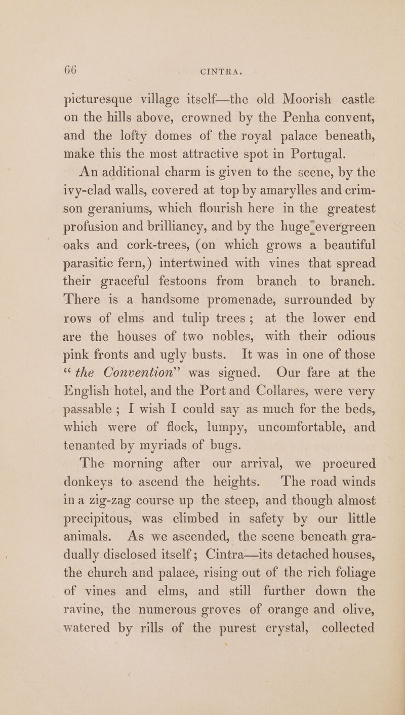 picturesque village itself—the old Moorish castle on the hills above, crowned by the Penha convent, and the lofty domes of the royal palace beneath, make this the most attractive spot in Portugal. An additional charm is given to the scene, by the ivy-clad walls, covered at top by amarylles and crim- son geraniums, which flourish here in the greatest profusion and brilliancy, and by the huge evergreen oaks and cork-trees, (on which grows a beautiful parasitic fern,) intertwined with vines that spread their graceful festoons from branch to branch. There is a handsome promenade, surrounded by rows of elms and tulip trees; at the lower end are the houses of two nobles, with their odious pink fronts and ugly busts. It was in one of those “the Convention” was signed. Our fare at the English hotel, and the Port and Collares, were very passable ; I wish I could say as much for the beds, which were of flock, lumpy, uncomfortable, and tenanted by myriads of bugs. The morning after our arrival, we procured donkeys to ascend the heights. The road winds in a zig-zag course up the steep, and though almost precipitous, was climbed in safety by our little animals. As we ascended, the scene beneath gra- dually disclosed itself; Cintra—its detached houses, the church and palace, rising out of the rich foliage of vines and elms, and still further down the ravine, the numerous groves of orange and olive, watered by rills of the purest crystal, collected