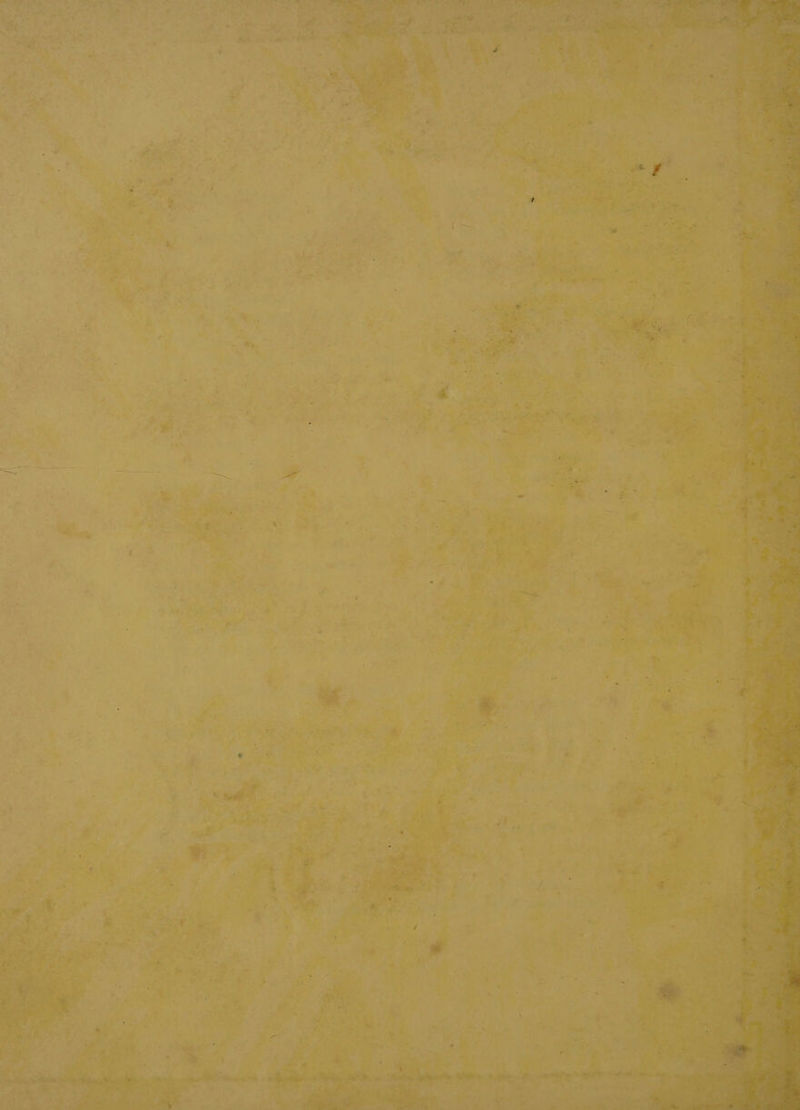 ae Mili 2 #F.  oe ‘ % WY vi : ‘ ‘ J Ac 47° ul “ 2 a ve wl ; ‘ ‘ ‘ é a ot? BD an Prk a) é as ~-£) 4 fd> 5 * nan _ SP xs hes o*e< o> ms P m . — ae + gd Ok 7 q + > oy y ° “ ‘ + hg . Cy ‘ 5 = , - pie y >: =. ny z sy +a % ra : é ioe , r ' . 4 - ~ * re ‘ 7 = 5 : 6.7 |. : a To Lye: af eg -g a ‘ #, sete, : j if 4, nd a . a a : | oe ae ee, = ne) i > h4 : mA War eee of te K He : “Soar EI ih at i nf ‘(Ss + ae oe oe ark ¥ ees  Si detes an a ea fu Co 7 of Pa: ik é +7 —— pay i =o a ‘aes ph. . “y