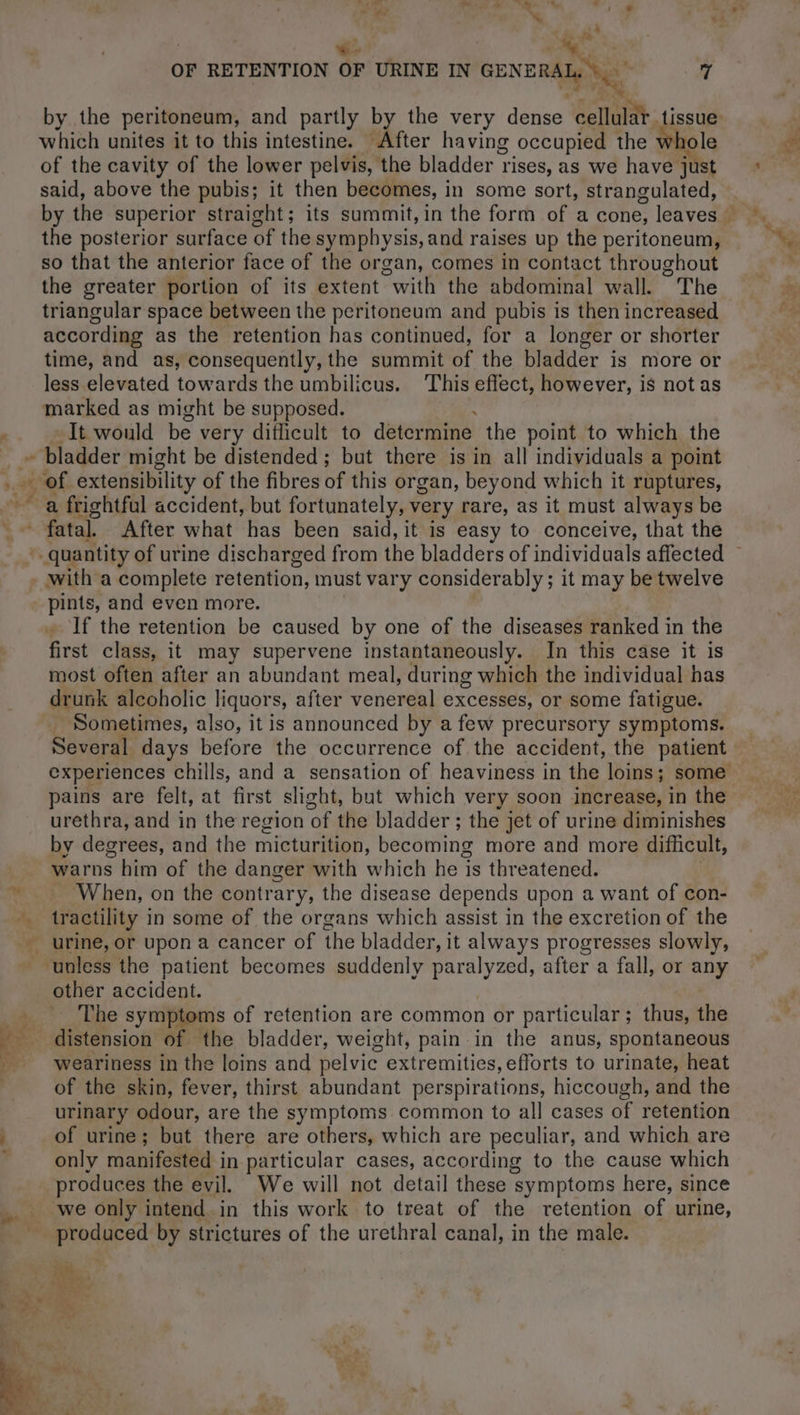 me Rs which unites it to this intestine. After having occupied the whole the posterior surface of the symphysis, and raises up the peritoneum, so that the anterior face of the organ, comes in contact throughout the greater portion of its extent “with the abdominal wall. The triangular space between the peritoneum and pubis is then increased according as the retention has continued, for a longer or shorter time, and as, consequently, the summit of the bladder is more or less elevated towards the umbilicus. This eflect, however, is not as marked as might be supposed. It would be very difficult to determine the point to which the bladder might be distended; but there is in all individuals a point pints, and even more. If the retention be caused by one of the diseases ranked in the first class, it may supervene instantaneously. In this case it is most often after an abundant meal, during which the individual has drunk alcoholic liquor S, after venereal excesses, or some fatigue. Sometimes, also, it is announced by a few precursory symptoms. Several days before the occurrence of the accident, the patient pains are felt, at first slight, but which very soon increase, in the urethra, and in the region ‘of the bladder ; the jet of urine diminishes by degrees, and the mictuntape, becoming more and more difficult, warns him of the danger with which he is threatened. ‘When, on the contrary, the disease depends upon a want of con- tractility in some of the organs which assist in the excretion of the other accident. The symptoms of retention are common or particular; thus, the weariness in the loins and pelvic extremities, efforts to urinate, heat of the skin, fever, thirst abundant perspirations, hiccough, and the urinary odour, are the symptoms common to all cases of retention of urine; but there are others, which are peculiar, and which are only manifested j in particular cases, according to the cause which we only intend in this work to treat of the retention of urine, produced by strictures of the urethral canal, in the male.