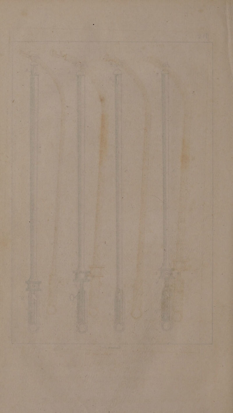 . ze Seo ar eee pe 1: rai c + >a) Lae oe nil 0e . ~ er “ PEs * — =e Sc aa ge ge li re re terre teppei eR 2 ne ae am À De A <, “i 1 ~ gal - “3 | #