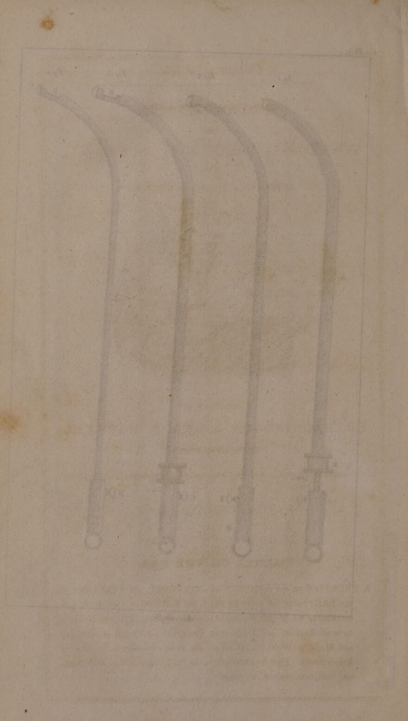 2 ; A + - % à + j R AO A Ê sn 4 _ … A L2 . ‘ - TS edible 0 ‘ ; Pa “ h Leu: | ° =v aT ne teed ni ; : » RENE ee noe £ + betes, ~~ Cae eee Cae ES AA 1 ee | “i CO wet § eer. by Fe ye wah ; NS ARE Senin 4 ME eer ew = | eS #5) tin PN 5 fat ARBRE Fa A CPR > Pe