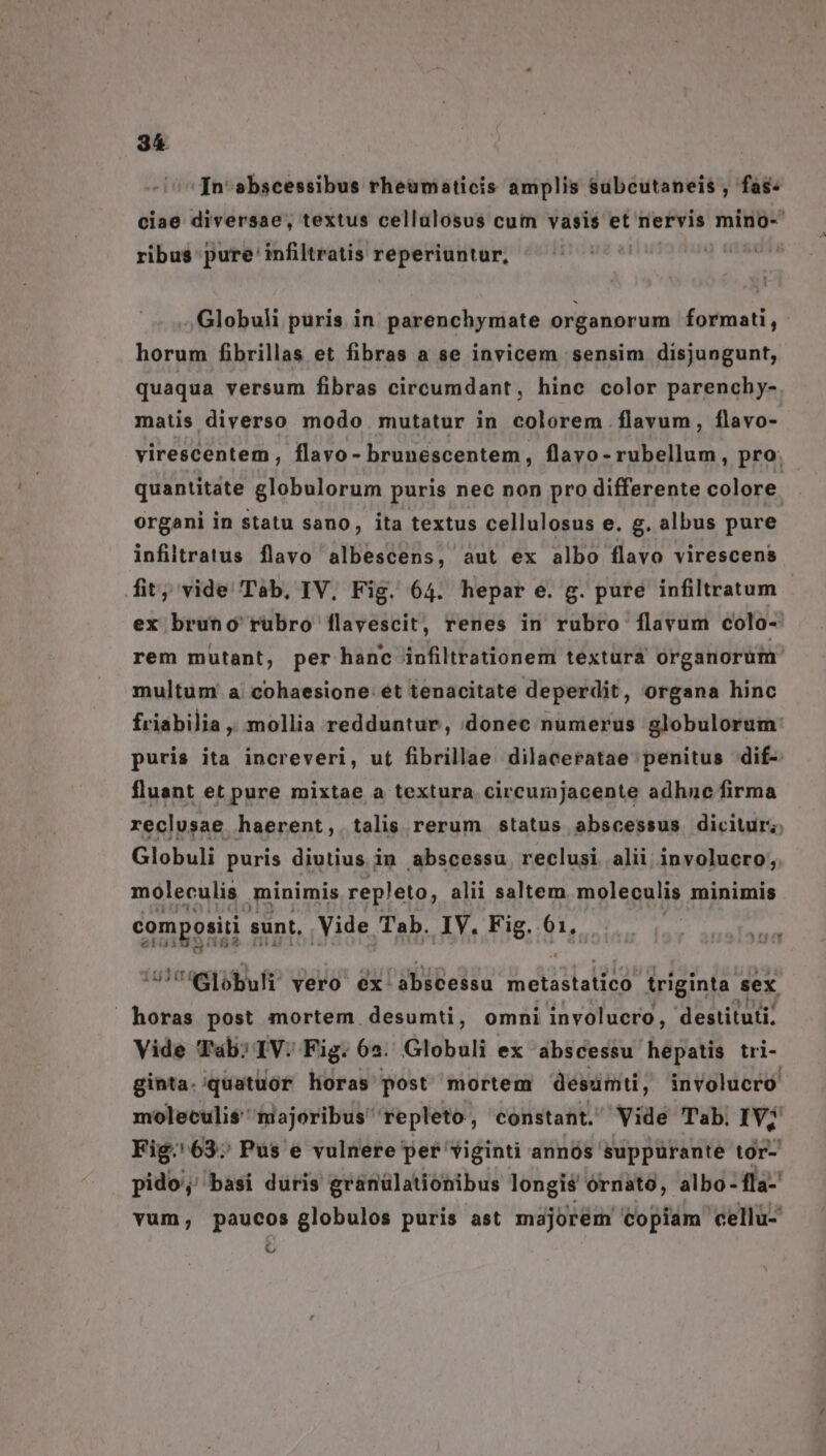 In abscessibus rheumaticis amplis subcutaneis , fas- ciae diversae, textus cellülosus cum vasis et nervis mino- ribus pure'infiltratis reperiuntur, | | Globuli puris in parenchymate organorum formati, horum fibrillas et fibras a se invicem sensim disjungunt, quaqua versum fibras circumdant, hine color parenchy- matis diverso modo mutatur in colorem flavum, íflavo- virescentem, flavo- brunescentem, flavo-rubellum, pro. quantitate globulorum puris nec non pro differente colore organi in statu sano, ita textus cellulosus e. g. albus pure infilratus flavo albescens, aut ex albo flavo virescens fit, vide Tab, IV, Fig. 64. hepar e. g. pure infiltratum ex bruno rubro flavescit, renes in rubro flavum colo- rem mutant, per hanc infiltrationem textura organorum multum a cohaesione ét tenacitate deperdit, organa hinc friabilia , mollia redduntur, donec numerus globulorum puris ita increveri, ut fibrillae dilaceratae penitus dif- fluant et pure mixtae a textura circumjacente adhne firma reclusae haerent, talis rerum status abscessus dicitur; Globuli puris diutius in abscessu reclusi alii involucro, moleculis minimis repleto, alii saltem moleculis minimis compositi s sunt, Vide Tab. IV. Fig. fi is Sbufr vero ex abscessu metastatico triginta. sex horas post mortem desumti, omni involucro, destituti. Vide Tab; IV: Fig. 6a. Globuli ex abscessu hepatis tri- ginta.quatuor loras post mortem desumti, involucro moleculis$' majoribus repleto, constant. Vide Tab. IV7 Fig. 63; Pus e vulnere per viginti annós suppurante tor- pido; basi duris granülationibus longis órnato, albo -fla-' vum, paucos globulos puris ast majorém copiam cellu- M
