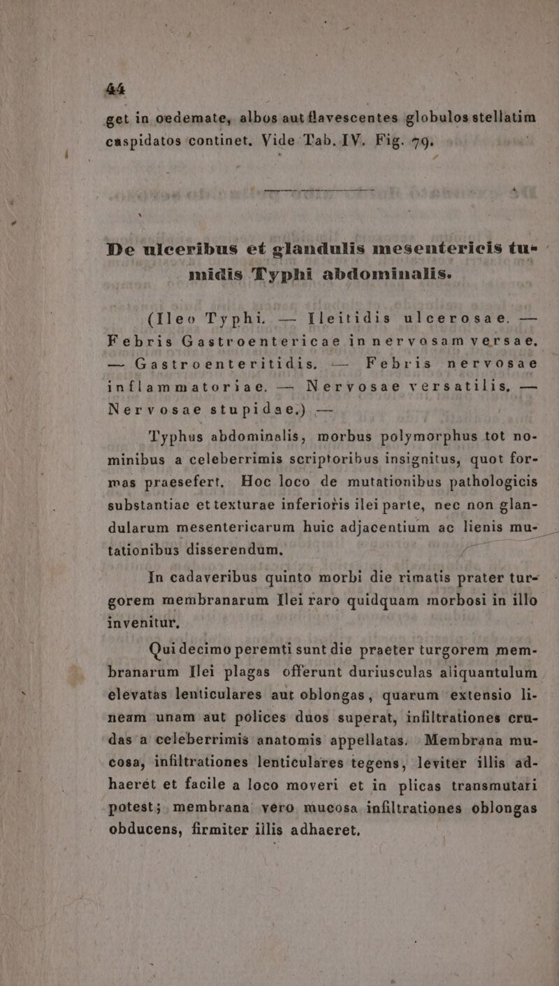 &amp;4 get in oedemate, albos aut flavescentes globulos stellatim caspidatos continet. Vide Tab. IV. Fig. 79. —— HÀ — MÀ — á midis ''yphi abdominalis. (Ileo Typhi — Ileitidis ulcerosae. — — Gastroenteritidis, — Febris nervosae inflammatoriae. — Nervosae versatilis, — Nervosae stupidae,) — Typhus abdominalis, morbus polymorphus tot no- minibus a celeberrimis scriptoribus insignitus, quot for- mas praesefert, Hoc loco de mutationibus pathologicis substantiae et texturae inferioris ilei parte, nec non glan- dularum mesentericarum huic adjacentium ac lienis mu- EC tationibus disserendum. gorem membranarum Ilei raro quidquam morbosi in illo invenitur, Qui decimo peremti sunt die praeter turgorem mem- branarum [lei plagas offerunt duriusculas aliquantulum elevatas lenticulares aut oblongas, quarum extensio li- neam unam aut polices duos superat, inliltrationes cru- das a celeberrimis anatomis appellatas. Membrana mu- cosa, infiltrationes lenticulares tegens, leviter illis ad- haerét et facile a loco moveri et in plicas transmutari potest; membrana véro mucosa infiltrationes oblongas obducens, firmiter iilis adhaeret,