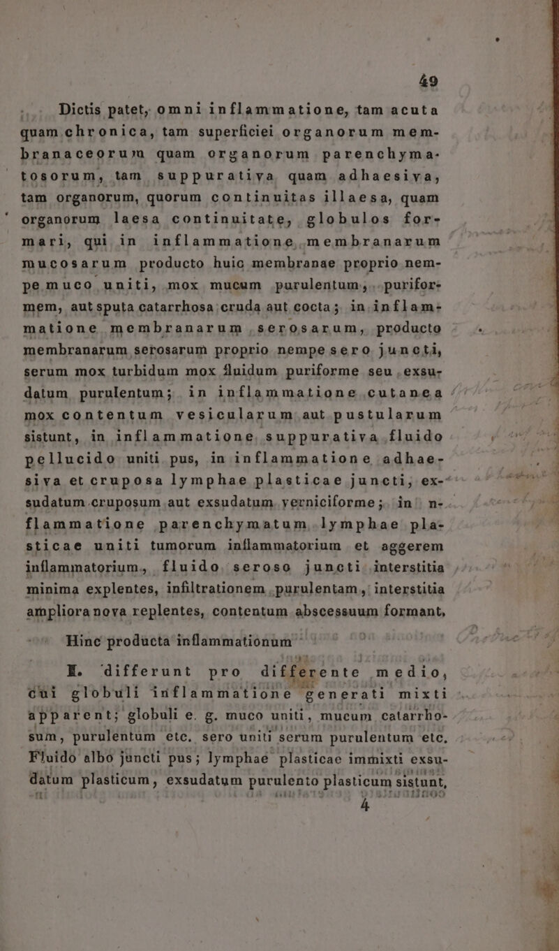 Dictis patet; omni inflammatione, tam acuta quam.chronica, tam superficiei organorum mem- branaceoru;»m quam organorum parenchyma:- tosorum, tam suppuratiya quam adhaesiva; tam organorum, quorum continuitas illaesa, quam organorum laesa continuitate, globulos for- mari, qui in inflammatione omembranarum mucosarum producto huic membranae proprio nem- pemuco uniti, mox mucum paurulentum;..purifor- mem, autsputa catarrhosa cruda aut cocta; in. inflam- matione membranarum serosarum, producto membranarum serosarum proprio nempe sero junoti, serum mox turbidum mox fluidum puriforme seu .exsu- mox contentum vesicularum.aut pustularum sistunt, in inflammatione suppurativa fluido pellucido uniti. pus, in inflammatione, adhae- sudatum.cruposum aut exsudatum. yerniciforme ;. in | n- flammatione parenchymatum,. lymphae pla- sti cae uniti tumorum inílammatorium et aggerem inflammatorium, fluido. seroso juncti interstitia minima explentes, infiltrationem .purulentam,: interstitia ampliora nova replentes, contentum abscessuum formant, Hinc producta inflanmationum * E. differunt pro differente medio, cui globuli inflammatione generati mixti app arent; globuli e. g. muco uniti , mucum. catarrho- sum, purulentum etc. sero uniti serum purulentum etc. Fluido albo juncti pus; ly mphaé- plasticae immixti exsu- datum plasticum, exsudatum DT plasticum: sistunt, fí TI | 112 (10 E UN Un PR disi ar x