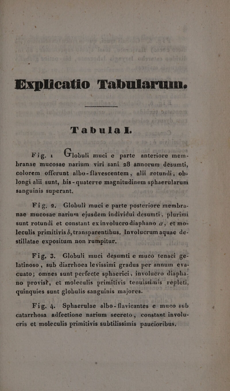 Explicatio Tabularum.  2bula Fig. 1 Giobuti muci e parte anteriore mem- branae mucosae narium viri sani 28 annorum desumti, colorem offerunt albo-flavescentem , alii rotundi, ob- longi alii sunt, bis-quaterve magnitudinem sphaerularum sanguinis superant. Fig. 2. Globuli muci e parte posteriore membra- nae mucosae narium ejusdem individui desumti, plurimi sunt rotundi et constant ex involucro diaphano a2, et mo- leculis primitivis 2), transparentibus, Involucrum aquae de- stillatae expositum non rumpitur. Fig. 3. Globuli muci desumti e muco tenaci ge- latinoso , sub diarrhoea levissimi gradus per annum eva- cuato; omnes sunt perfecte sphaerici, involucro diapha- no provist, et moleculis primitivis tenuissimis repleti, quinquies sunt globulis sanguinis majores. | Fig. 4. Sphaerulae albo-flavicantes e muco sub catarrhosa adfectione narium secreto, constant involu- cris et moleculis primitivis subtilissimis paucioribus.