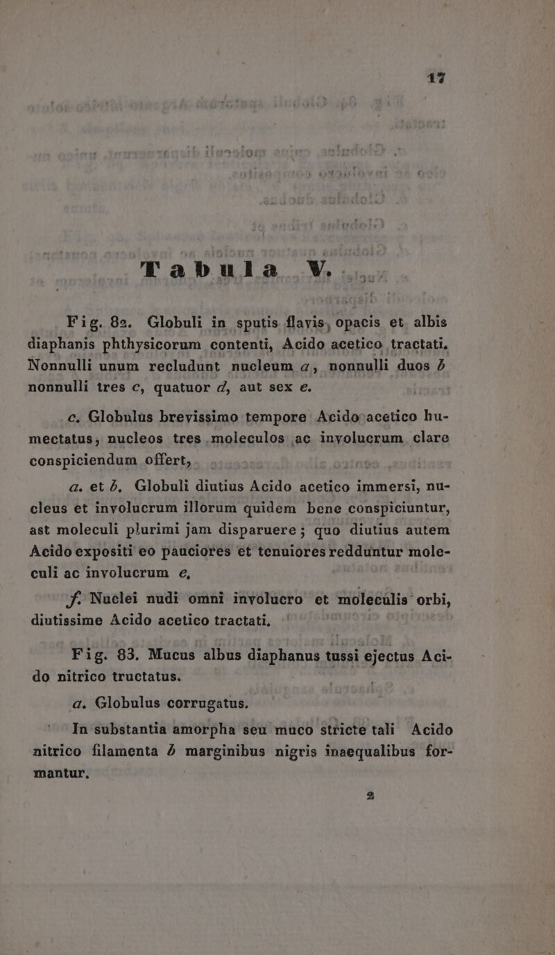 117 Tabula V. Fig. 8». Globuli in sputis flavis, opacis et albis diaphanis phthysicorum contenti, Acido acetico tractati, Nonnulli unum recludunt nucleum a, nonnulli duos 9 nonnulli tres c, quatuor d, aut sex e. c. Globulus brevissimo tempore Acido acetico hu- mectatus, nucleos tres .moleculos ac inyolucrum clare conspiciendum offert, G, et 9, Globuli diutius Acido acetico immersi, nu- cleus et inyolucrum illorum quidem bene conspiciuntur, ast moleculi plurimi jam disparuere; quo diutius autem Acido expositi eo pauciores et tenuiores redduntur mole- culi ac involucrum e, f. Nuclei nudi omni involucro et molecülis orbi, diutissime Acido acetico tractati, Fig. 83. Mucus albus diaphanus tussi ejectus Aci- do nitrico tructatus. a. Globulus corrugatus. In substantia amorpha seu muco stricte tali Acido nitrico filamenta ^ marginibus nigris inaequalibus for- mantur. !