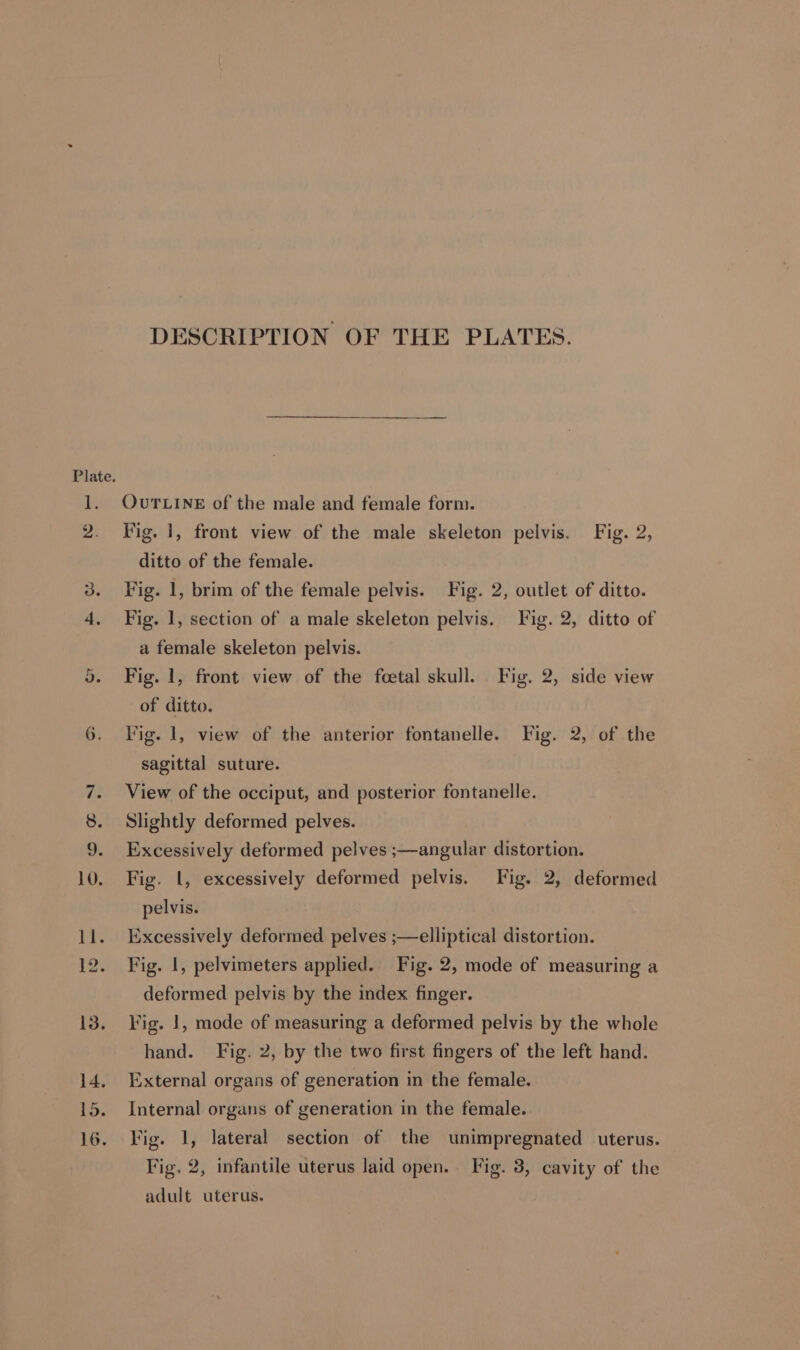 a 6. DESCRIPTION OF THE PLATES. OUTLINE of the male and female form. Fig. 1, front view of the male skeleton pelvis. Fig. 2, ditto of the female. Fig. 1, brim of the female pelvis. Fig. 2, outlet of ditto. Fig. 1, section of a male skeleton pelvis. Fig. 2, ditto of a female skeleton pelvis. Fig. 1, front view of the foetal skull. Fig. 2, side view of ditto. Vig. 1, view of the anterior fontanelle. Fig. 2, of the sagittal suture. View of the occiput, and posterior fontanelle. Slightly deformed pelves. Excessively deformed pelves ;—angular distortion. Fig. l, excessively deformed pelvis, Fig. 2, deformed pelvis. Excessively deformed pelves ;—elliptical distortion. Fig. I, pelvimeters applied. Fig. 2, mode of measuring a deformed pelvis by the index finger. Fig. 1, mode of measuring a deformed pelvis by the whole hand. Fig. 2, by the two first fingers of the left hand. External organs of generation in the female. Internal organs of generation in the female. Fig. 1, lateral section of the unimpregnated uterus. Fig. 2, infantile uterus laid open. Fig. 3, cavity of the adult uterus.