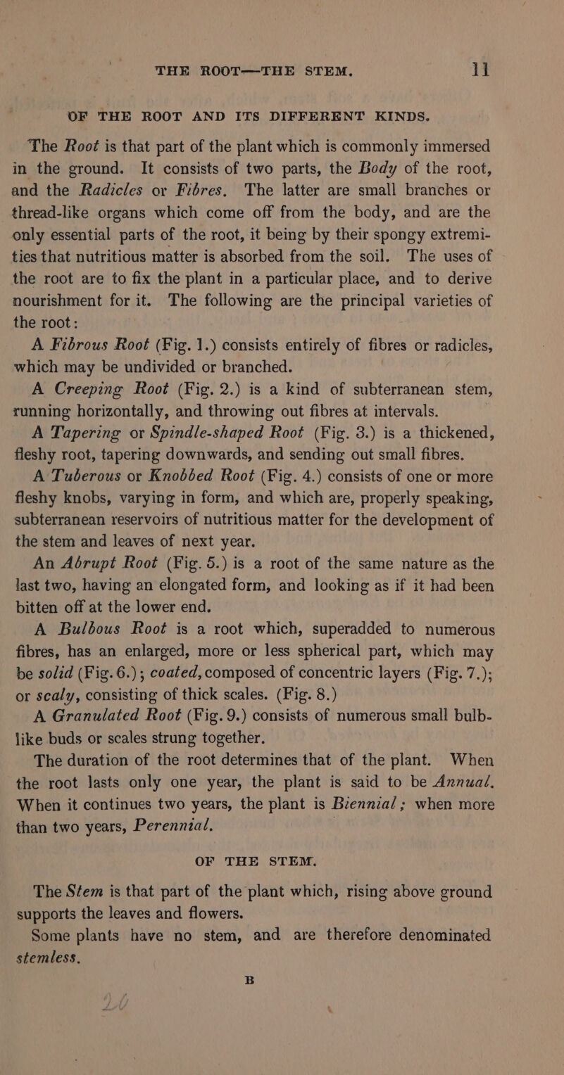 THE ROOT—THE STEM. }1 OF THE ROOT AND ITS DIFFERENT KINDS. The Root is that part of the plant which is commonly immersed in the ground. It consists of two parts, the Body of the root, and the Radicles or Fibres. The latter are small branches or thread-like organs which come off from the body, and are the only essential parts of the root, it being by their spongy extremi- ties that nutritious matter is absorbed from the soil. The uses of the root are to fix the plant in a particular place, and to derive nourishment for it. The following are the principal varieties of the root: A Fibrous Root (Fig. 1.) consists entirely of fibres or radicles, which may be undivided or branched. A Creeping Root (Fig. 2.) is a kind of subterranean stem, running horizontally, and throwing out fibres at intervals. A Tapering or Spindle-shaped Root (Fig. 3.) is a thickened, fleshy root, tapering downwards, and sending out small fibres. A Tuberous or Knobbed Root (Fig. 4.) consists of one or more fleshy knobs, varying in form, and which are, properly speaking, subterranean reservoirs of nutritious matter for the development of the stem and leaves of next year. An Aérupt Root (Fig. 5.) is a root of the same nature as the last two, having an elongated form, and looking as if it had been bitten off at the lower end. A Bulbous Root is a root which, superadded to numerous fibres, has an enlarged, more or less spherical part, which may be solid (Fig.6.); coated, composed of concentric layers (Fig. 7.); or scaly, consisting of thick scales. (Fig. 8.) A Granulated Root (Fig. 9.) consists of numerous small bulb- like buds or scales strung together. The duration of the root determines that of the plant. When the root lasts only one year, the plant is said to be Annuad, When it continues two years, the plant is Biennza/; when more than two years, Perennial. . OF THE STEM. The Stem is that part of the plant which, rising above ground supports the leaves and flowers. Some plants have no stem, and are therefore denominated stemless, B