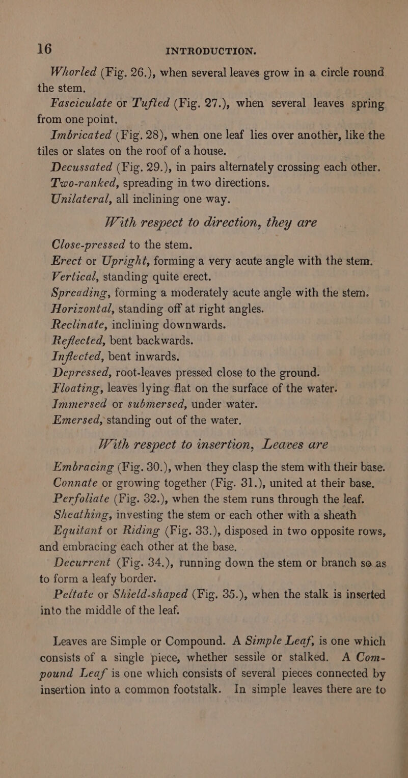 Whorled (Fig. 26.), when several leaves grow in a circle round. the stem. Fasciculate or Tufted (Fig. 27.), when several leaves spring from one point. | . Imbricated (Fig. 28), when one leaf lies over another, like the tiles or slates on the roof of a house. Decussated (Fig. 29.), in pairs alternately crossing each other. Two-ranked, spreading in two directions. Unilateral, all inclining one way. With respect to direction, they are Close-pressed to the stem. Erect or Upright, forming a very acute angle with the stem. Vertical, standing quite erect. Spreading, forming a moderately acute angle with the stem. Horizontal, standing off at right angles. Reclinate, inclining downwards. Reflected, bent backwards. Inflected, bent inwards. Depressed, root-leaves pressed close to the ground. Floating, leaves lying flat on the surface of the water. Immersed or submersed, under water. Emersed, standing out of the water. With respect to insertion, Leaves are Embracing (Fig. 30.), when they clasp the stem with their base. Connate or growing together (Fig. 31.), united at their base. Perfoliate (Fig. 32.), when the stem runs through the leaf. Sheathing, investing the stem or each other with a sheath Equitant or Riding (Fig. 33.), disposed in two opposite rows, and embracing each other at the base. Decurrent (Fig. 34.), running down the stem or branch seas to form a leafy border. Peltate or Shield-shaped (Fig. 35.), when the stalk is inserted into the middle of the leaf. Leaves are Simple or Compound. A Szmple Leaf, is one which consists of a single piece, whether sessile or stalked. A Com- pound Leaf is one which consists of several pieces connected by insertion into a common footstalk. In simple leaves there are to