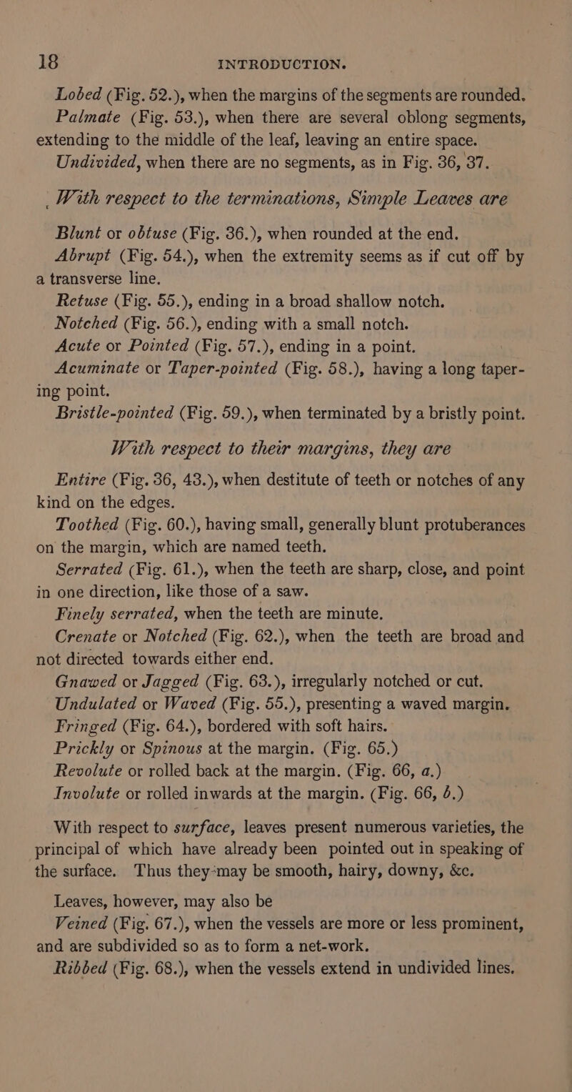 Loéded (Fig. 52.), when the margins of the segments are rounded. Palmate (Fig. 53.), when there are several oblong segments, extending to the middle of the leaf, leaving an entire space. Undivided, when there are no segments, as in Fig. 36, 37. _With respect to the terminations, Simple Leaves are Blunt or obtuse (Fig. 36.), when rounded at the end. Abrupt (Fig. 54.), when the extremity seems as if cut off by a transverse line. Retuse (Fig. 55.), ending in a broad shallow notch. Notched (Fig. 56.), ending with a small notch. Acute or Pointed (Fig. 57.), ending in a point. Acuminate or Taper-pointed (Fig. 58.), having a long taper- ing point. Bristle-pointed (Fig. 59.), when terminated by a bristly point. With respect to their margins, they are Entire (Fig. 36, 43.), when destitute of teeth or notches of any kind on the edges. Toothed (Fig. 60.), having small, generally blunt protuberances on the margin, which are named teeth. Serrated (Fig. 61.), when the teeth are sharp, close, and point in one direction, like those of a saw. Finely serrated, when the teeth are minute. Crenate or Notched (Fig. 62.), when the teeth are broad and not directed towards either end. Gnawed or Jagged (Fig. 63.), irregularly notched or cut. Undulated or Waved (Fig. 55.), presenting a waved margin. Fringed (Fig. 64.), bordered with soft hairs. Prickly or Spinous at the margin. (Fig. 65.) Revolute or rolled back at the margin. (Fig. 66, a.) Involute or rolled inwards at the margin. (Fig. 66, 4.) With respect to surface, leaves present numerous varieties, the principal of which have already been pointed out in speaking of the surface. Thus they*may be smooth, hairy, downy, &amp;c. Leaves, however, may also be Veined (Fig. 67.), when the vessels are more or less prominent, and are subdivided so as to form a net-work. Ribbed (Fig. 68.), when the vessels extend in undivided lines.