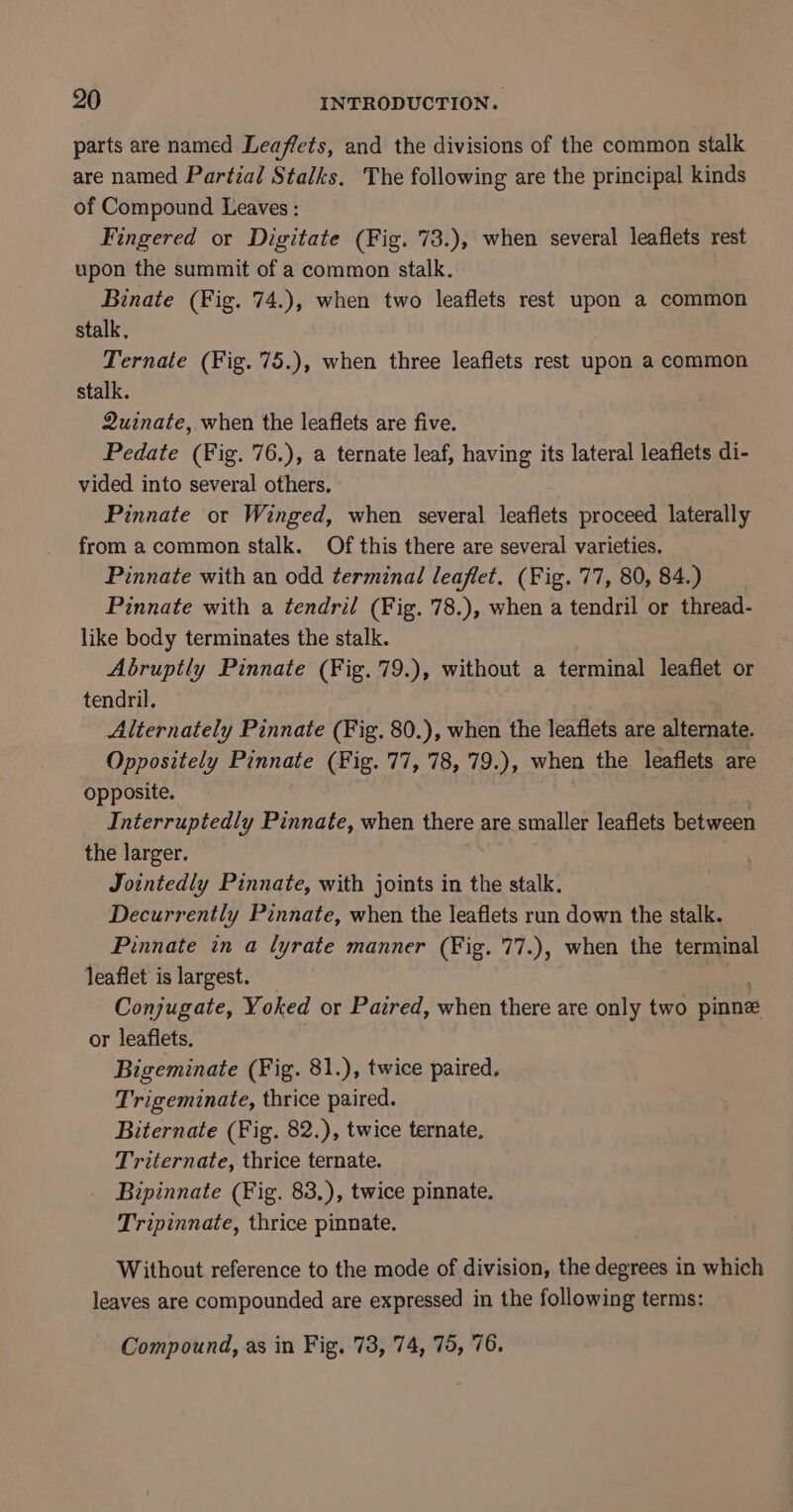 parts are named Leaflets, and the divisions of the common stalk are named Partial Stalks. The following are the principal kinds of Compound Leaves: Fingered or Digitate (Fig. 73.), when several leaflets rest upon the summit of a common stalk. Binate (Fig. 74.), when two leaflets rest upon a common stalk. Ternate (Fig. 75.), when three leaflets rest upon a common stalk. Quinate, when the leaflets are five. Pedate (Fig. 76.), a ternate leaf, having its lateral leaflets di- vided into several others. Pinnate or Winged, when several leaflets proceed laterally from a common stalk. Of this there are several varieties. Pinnate with an odd terminal leaflet. (Fig. 77, 80, 84.) Pinnate with a tendril (Fig. 78.), when a tendril or thread- like body terminates the stalk. Abruptly Pinnate (Fig. 79.), without a terminal leaflet or tendril. | Alternately Pinnate (Fig. 80.), when the leaflets are alternate. Oppositely Pinnate (Fig. 77, 78, 79.), when the leaflets are opposite. Interruptedly Pinnate, when there are smaller leaflets between the larger. Jointedly Pinnate, with joints in the stalk, Decurrently Pinnate, when the leaflets run down the stalk. Pinnate in a lyrate manner (Fig. 77.), when the terminal leaflet is largest. Conjugate, Yoked or Paired, when there are only two pine or leaflets. Bigeminate (Fig. 81.), twice paired, Trigeminate, thrice paired. Biternate (Fig. 82.), twice ternate, Triternate, thrice ternate. Bipinnate (Fig. 83,), twice pinnate. Tripinnate, thrice pinnate. Without reference to the mode of division, the degrees in which leaves are compounded are expressed in the following terms: Compound, as in Fig, 73, 74, 75, 76.