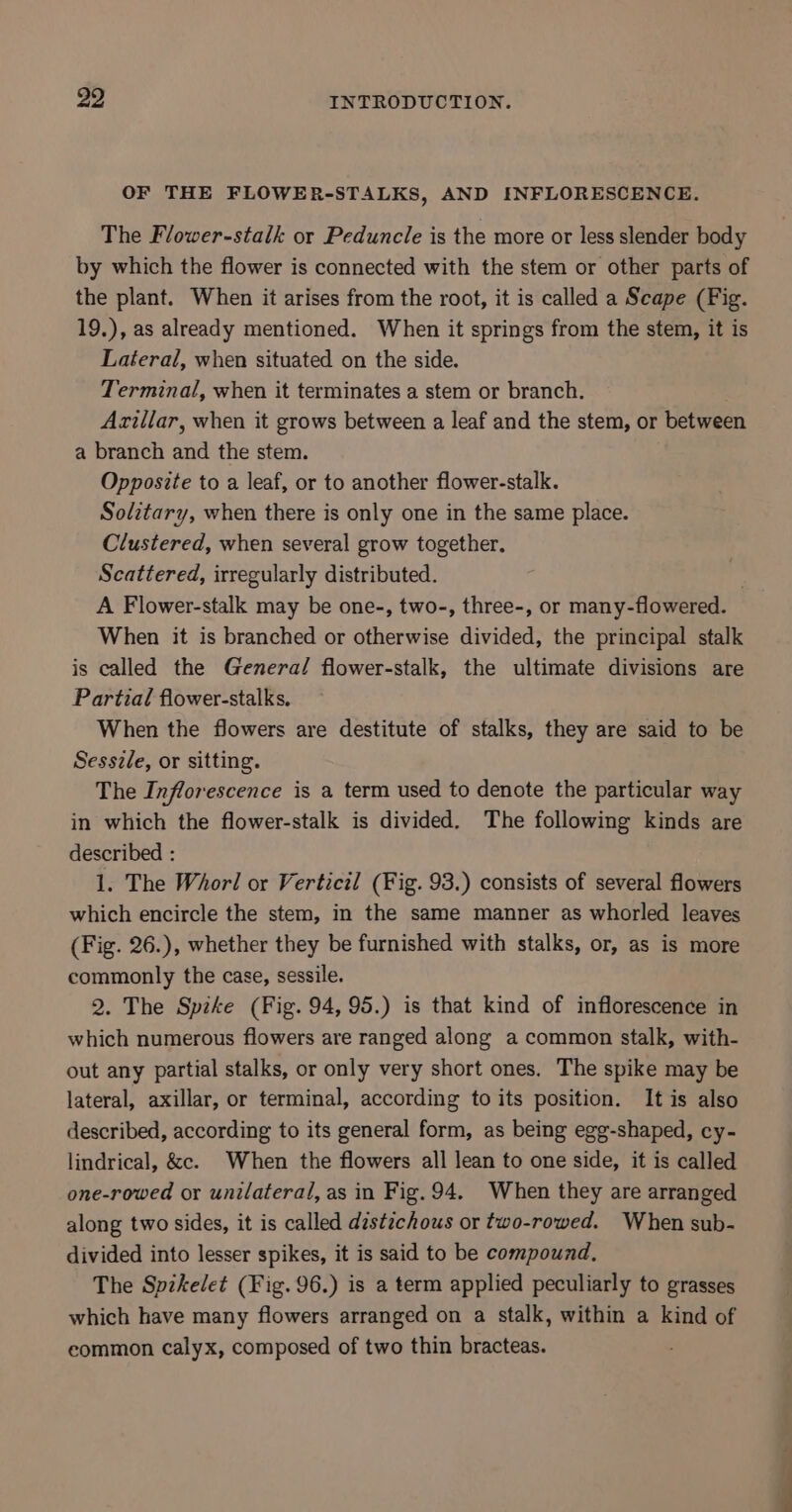 OF THE FLOWER-STALKS, AND INFLORESCENCE. The Flower-stalk or Peduncle is the more or less slender body by which the flower is connected with the stem or other parts of the plant. When it arises from the root, it is called a Scape (Fig. 19.), as already mentioned. When it springs from the stem, it is Lateral, when situated on the side. Terminal, when it terminates a stem or branch. Azillar, when it grows between a leaf and the stem, or between a branch and the stem. Opposite to a leaf, or to another flower-stalk. Solctary, when there is only one in the same place. Clustered, when several grow together, Scattered, irregularly distributed. | A Flower-stalk may be one-, two-, three-, or many-flowered. When it is branched or otherwise divided, the principal stalk is called the General flower-stalk, the ultimate divisions are Partial flower-stalks. When the flowers are destitute of stalks, they are said to be Sessz/e, or sitting. The Inflorescence is a term used to denote the particular way in which the flower-stalk is divided. The following kinds are described : 1. The Whorl or Verticil (Fig. 93.) consists of several flowers which encircle the stem, in the same manner as whorled leaves (Fig. 26.), whether they be furnished with stalks, or, as is more commonly the case, sessile. 2. The Speke (Fig. 94,95.) is that kind of inflorescence in which numerous flowers are ranged along a common stalk, with- out any partial stalks, or only very short ones. The spike may be lateral, axillar, or terminal, according to its position. It is also described, according to its general form, as being egg-shaped, cy- lindrical, &amp;c. When the flowers all lean to one side, it is called one-rowed or unilateral, as in Fig. 94. When they are arranged along two sides, it is called destichous or two-rowed. When sub- divided into lesser spikes, it is said to be compound, The Spikelet (Fig. 96.) is a term applied peculiarly to grasses which have many flowers arranged on a stalk, within a kind of eommon calyx, composed of two thin bracteas.