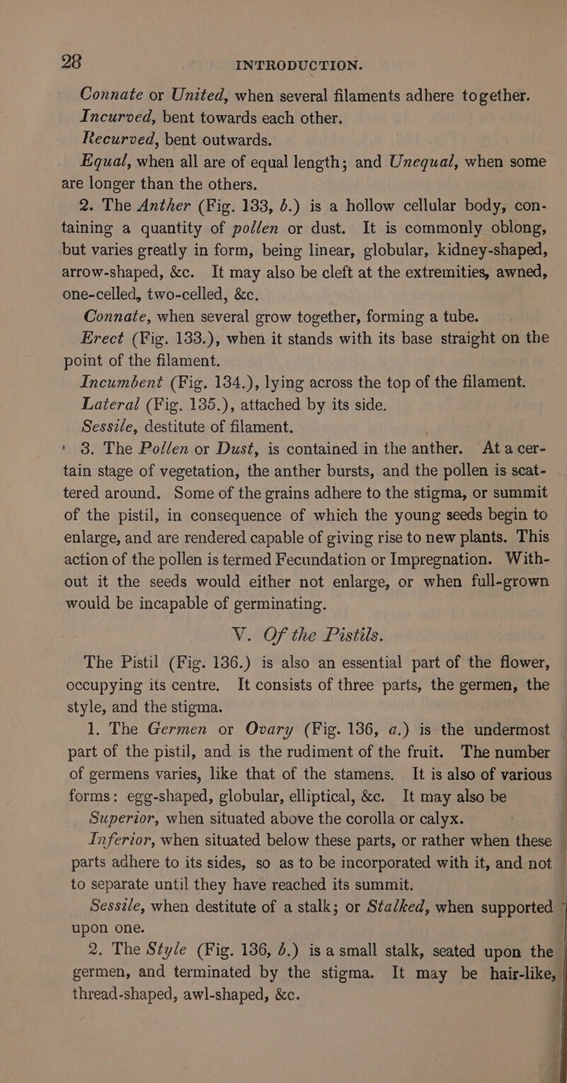 Connate or United, when several filaments adhere together. Incurved, bent towards each other. Recurved, bent outwards. Equal, when all are of equal length; and Unequal, when some are longer than the others. 2. The Anther (Fig. 133, 6.) is a hollow cellular body, con- taining a quantity of pollen or dust. It is commonly oblong, but varies greatly in form, being linear, globular, kidney-shaped, arrow-shaped, &amp;c. It may also be cleft at the extremities, awned, one-celled, two-celled, &amp;c. Connate, when several grow together, forming a tube. Erect (Fig. 133.), when it stands with its base straight on the point of the filament. Incumbent (Fig. 134.), lying across the top of the filament. Lateral (Fig. 135.), attached by its side. Sessile, destitute of filament. ' 3. The Pollen or Dust, is contained in the anther. At acer- tain stage of vegetation, the anther bursts, and the pollen is scat- tered around. Some of the grains adhere to the stigma, or summit of the pistil, in consequence of which the young seeds begin to enlarge, and are rendered capable of giving rise to new plants. This action of the pollen is termed Fecundation or Impregnation. With- out it the seeds would either not enlarge, or when full-grown would be incapable of germinating. V. Of the Pistils. The Pistil (Fig. 136.) is also an essential part of the flower, occupying its centre. It consists of three parts, the germen, the style, and the stigma. 1. The Germen or Ovary (Fig. 186, a.) is the undermost part of the pistil, and is the rudiment of the fruit. The number of germens varies, like that of the stamens. It is also of various forms: egg-shaped, globular, elliptical, &amp;c. It may also be Superior, when situated above the corolla or calyx. Inferior, when situated below these parts, or rather when these — parts adhere to its sides, so as to be incorporated with it, and not : to separate until they have reached its summit. Sesszle, when destitute of a stalk; or Stalked, when supported i upon one. 2. The Style (Fig. 136, 4.) is a small stalk, seated upon the — germen, and terminated by the stigma. It may be hair-like, thread-shaped, awl-shaped, &amp;c. ies a