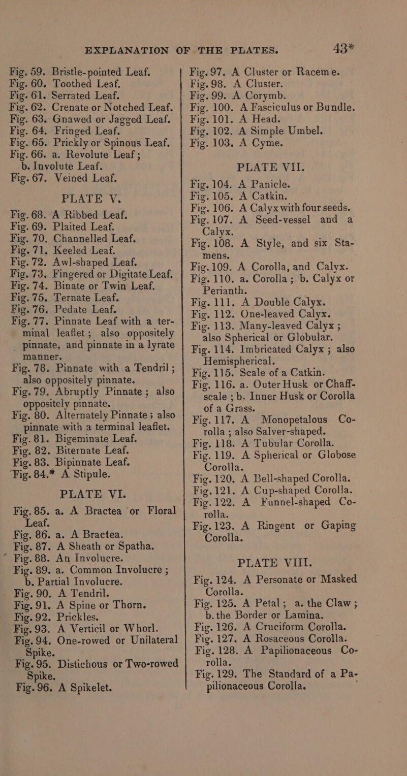 . Fig. 59. Bristle-pointed Leaf. Fig. 61. Serrated Leaf. Fig. 63. Gnawed or Jagged Leaf. Fig. 64. Fringed Leaf. Fig. 65. Prickly or Spinous Leaf. Fig. 77. Pinnate Leaf with a ter- minal leaflet; also oppositely _ pinnate, and pinnate in a lyrate manner. Fig. 78. Pinnate with a Tendril ; also oppositely pinnate. Fig. 79. Abruptly Pinnate; also oppositely pinnate. Fig. 80. Alternately Pinnate 5 also pinnate with a terminal leaflet. ‘Fig. 84.% A Stipule. PLATE VI. Fig. 85. a. A Bractea or Floral Fig. 86. a. A Bractea. Fig. 87. A Sheath or Spatha. Fig. 88. An Involucre. Fig. 89. a. Common Involucre ; b. Partial Involucre. Fig. 90. A Tendril. Fig. 91. A Spine or Thorn. Fig. 92. Prickles. Fig. 93. A Verticil or Whorl. Fig. 94. One-rowed or Unilateral Spike. Fig. 95. Distichous or Two-rowed Spike. Fig. 96. A Spikelet. 43* Fig. 97. A Cluster or Raceme. Fig. 99. A Corymb. Fig. 101. A Head. Fig, 102. A Simple Umbel. Fig. 103, A Cyme. Fig. 104. A Panicle. Fig. 106. A Calyx with four seeds. Fig. 107. A Seed-vessel and a Calyx. Fig. 108. A Style, and six Sta- mens. Fig.109. A Corolla, and Calyx. Fig. 110. a. Corolla; b. Calyx or Perianth. Fig. 111. A Double Calyx. Fig. 112. One-leaved Calyx. Fig. 113. Many-leaved Calyx ; also Spherical or Globular. Fig. 114. Imbricated Calyx ; also Hemispherical. Fig. 115. Scale of a Catkin. Fig. 116. a. Outer Husk or Chaff- scale ; b. Inner Husk or Corolla of a Grass. Fig. 117. A Monopetalous Co- rolla ; also Salver-shaped. Fig. 118. A Tubular Corolla. Fig. 119. A Spherical or Globose Corolla. Fig. 120, A Bell-shaped Corolla. Fig. 121. A Cup-shaped Corolla. Fig. 122. A Funnel-shaped Co- rolla. Fig. 123. A Ringent or Gaping Corolla. PLATE VIII. Fig. 124. A Personate or Masked Corolla. Fig. 125. A Petal; a. the Claw ; b.the Border or Lamina. Fig. 126. A Cruciform Corolla. Fig. 127. A Rosaceous Corolla. Fig. 128. A Papilionaceous Co- rolla. Fig. 129. The Standard of a Pa- pilionaceous Corolla. ;