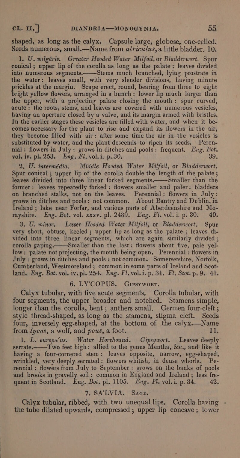 shaped, as long as the calyx. Capsule large, globose, one-celled. Seeds numerous, small.—Name from ufriculus, a little bladder. 10. 1. U. vulgdris. Greater Hooded Water Milfoil, or Bladderwort. Spur conical ; upper lip of the corolla as long as the palate ; leaves divided into numerous segments. Stems much branched, lying prostrate in the water: leaves small, with very slender divisions, having minute prickles at the margin. Scape erect, round, bearing from three to eight bright yellow fiowers, arranged in a bunch: lower lip much larger than the upper, with a projecting palate closing the mouth : spur curved, acute: the roots, stems, and leaves are covered with numerous vesicles, having an aperture closed by a valve, and its margin armed with bristles. In the earlier stages these vesicles are filled with water, and when it be- comes necessary for the plant to rise and expand its flowers in the air, they become filled with air: after some time the air in the vesicles is substituted by water, and the plant descends to ripen its seeds. Peren- nial: flowers in July: grows in ditches and pools: frequent. Eng. Bot. vol. iy. pl. 253. Eng. Fl. vol.i. p. 30. 39. 2. U. intermédia. Middle Hooded Water Milfoil, or Bladderwort. Spur conical ; upper lip of the corolla double the length of the palate ; leaves divided into three linear forked segments. Smaller than the former: leaves repeatedly forked: flowers smaller and paler: bladders on branched stalks, not on the leaves. Perennial: flowers in July: grows in ditches and pools: not common. About Bantry and Dublin, in Ireland ; lake near Forfar, and various parts of Aberdeenshire and Mo- rayshire. Eng. Bot. vol. xxxv. pl. 2489. Eng. Fl. vol.i.p. 30. 40. 3. U. minor. Lesser Hooded Water Milfoil, or Bladderwort, Spur very short, obtuse, keeled ; upper lip as long as the palate ; leaves di- vided into three linear segments, which are again similarly divided ; corolla gaping. Smaller than the last: flowers about five, pale yel- low: palate not projecting, the mouth being open. Perennial : flowers in July : grows in ditches and pools: notcommon. Somersetshire, Norfolk, Cumberland, Westmoreland ; common in some parts of Ireland and Scot- land. Eng. Bot. vol. iv. pl. 254. Eng. Fl. vol.i. p. 31. Fl. Scot. p.9. 41. 6. LY’COPUS. Gripsyworr. Calyx tubular, with five acute segments, Corolla tubular, with four segments, the upper broader and notched, Stamens simple, longer than the corolla, bent ; anthers small. Germen four-cleft ; style thread-shaped, as long as the stamens, stigma cleft. Seeds four, inversely egg-shaped, at the bottom of the calyx.—Name from /ycos, a wolf, and pous, a foot. 11. 1. L. ewrope’us. Water Horehound. Gipsywort. Leaves deeply serrate. Two feet high: allied to the genus Mentha, &amp;c., and like it having a four-cornered stem: leaves opposite, narrow, egg-shaped, wrinkled, very deeply serrated : flowers whitish, in dense whorls. Pe- rennial : flowers from July to September : grows on the banks of pools and brooks in gravelly soil: common in England and Ireland ; less fre- quent in Scotland. Lng. Bot. pl. 1105. Eng. Fl. vol.i. p. 34. 42. 7, SA’LVIA. Sace. Calyx tubular, ribbed, with two unequal lips. Corolla having the tube dilated upwards, compressed ; upper lip concave ; lower