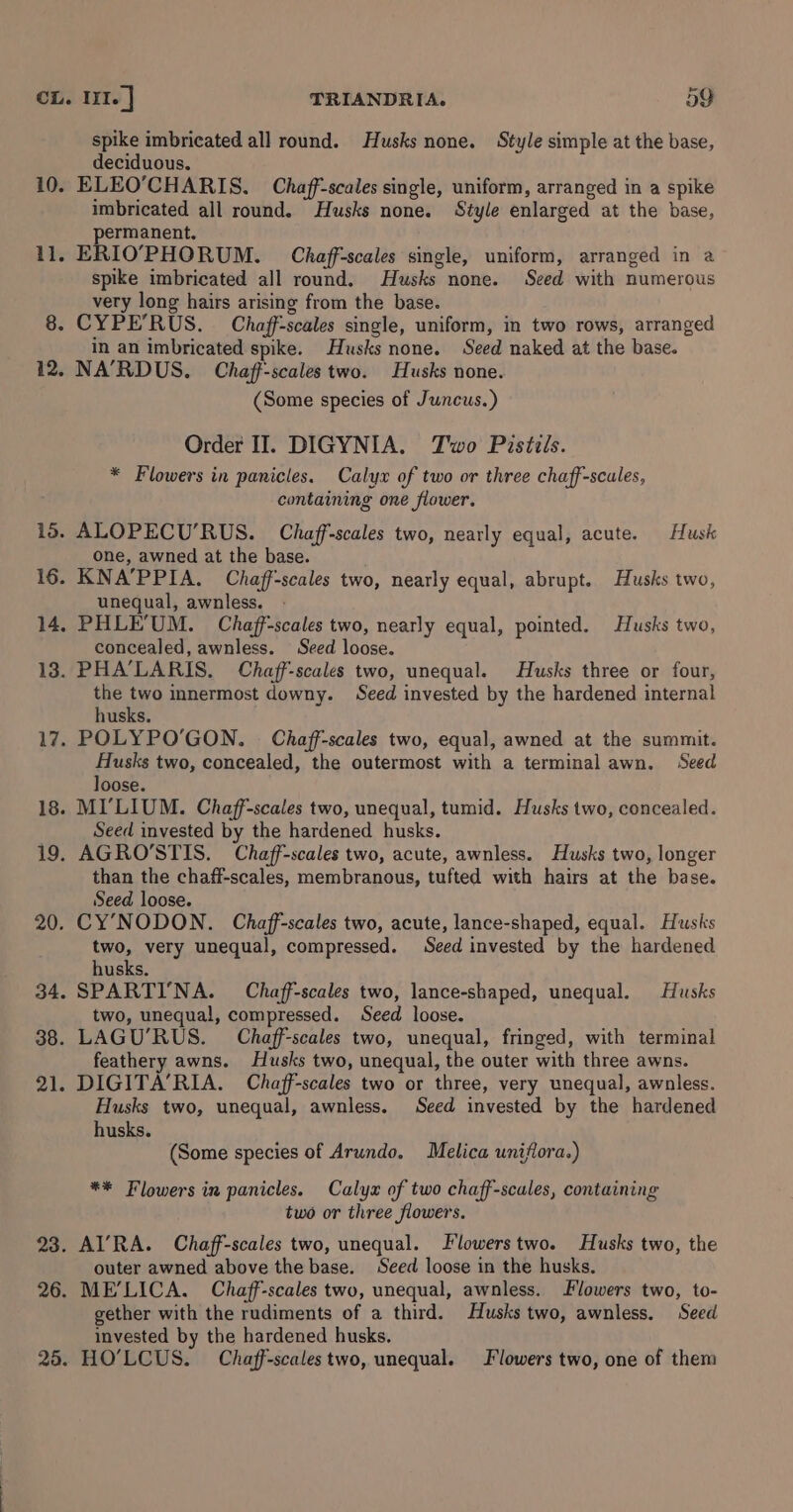 10. 15. 16. 14. 13. 1Y, 18 19. 20. 34. 38. 21. 23. 26. 2d. spike imbricated all round. Husks none. Style simple at the base, deciduous. ELEO’CHARIS. Chaff-scales single, uniform, arranged in a spike imbricated all round. Husks none. Style enlarged at the base, ermanent. ERIO’PHORUM. Chaff-scales single, uniform, arranged in a spike imbricated all round. Husks none. Seed with numerous very long hairs arising from the base. CYPE’RUS. Chaff-scales single, uniform, in two rows, arranged in an imbricated spike. Husks none. Seed naked at the base. NA’RDUS. Chaff-scales two. Husks none. (Some species of Juncus.) Order II. DIGYNIA. Two Pistils. * Flowers in panicles. Calyx of two or three chaff-scales, containing one flower. ALOPECU’RUS. Chaff-scales two, nearly equal, acute. Husk one, awned at the base. KNA’PPIA. Chaff-scales two, nearly equal, abrupt. Husks two, unequal, awnless. PHLE'UM. Chaff-scales two, nearly equal, pointed. Husks two, concealed, awnless. Seed loose. PHA’LARIS. Chaff-scales two, unequal. Husks three or four, the two innermost downy. Seed invested by the hardened internal husks. POLYPO'GON. Chaff-scales two, equal, awned at the summit. gay two, concealed, the outermost with a terminal awn. Seed oose. MI’LIUM. Chaff-scales two, unequal, tumid. Husks two, concealed. Seed invested by the hardened husks. AGRO’STIS. Chaff-scales two, acute, awnless. Husks two, longer than the chaff-scales, membranous, tufted with hairs at the base. Seed loose. CY’NODON. Chaff-scales two, acute, lance-shaped, equal. Husks two, very unequal, compressed. Seed invested by the hardened husks. SPARTINA. Chaff-scales two, lance-shaped, unequal. Husks two, unequal, compressed. Seed loose. LAGU’RUS. Chaff-scales two, unequal, fringed, with terminal feathery awns. Husks two, unequal, the outer with three awns. DIGITA’RIA. Chaff-scales two or three, very unequal, awnless. Husks two, unequal, awnless. Seed invested by the hardened husks. (Some species of Arundo. Melica uniflora.) ** Flowers in panicles. Calyx of two chaff-scules, containing two or three flowers. AI’RA. Chaff-scales two, unequal. Flowerstwo. Husks two, the outer awned above the base. Seed loose in the husks. ME’LICA. Chaff-scales two, unequal, awnless. Flowers two, to- gether with the rudiments of a third. Husks two, awnless. Seed invested by the hardened husks. HO’LCUS. Chaff-scales two, unequal. F'lowers two, one of them