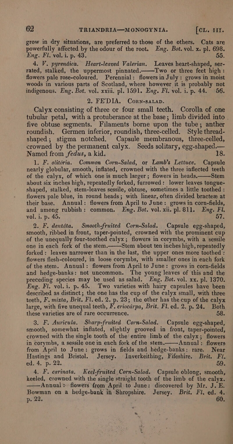 grow in dry situations, are preferred to those of the others. Cats are powerfully affected by the odour of the root. Eng. Bot. vol. x. pl. 698. Eng. Fl. vol. 1. p. 43, 55. 4. V. pyrendica. Heart-leaved Valerian. Leaves heart-shaped, ser- rated, stalked, the uppermost pinnated. Two or three feet high : flowers pale rose-coloured. Perennial: flowersin July : grows in moist woods in various parts of Scotland, where however it is probably not indigenous. Eng. Bot. vol. xxiii. pl. 1591. Eng. Fl. vol. i. p. 44. 56. 2. FE’DIA. Corn-saap. Calyx consisting of three or four small teeth. Corolla of one tubular petal, with a protuberance at the base; limb divided into five obtuse segments. Filaments borne upon the tube; anther roundish. Germen inferior, roundish, three-celled. Style thread- shaped; stigma notched. Capsule membranous, three-celled, crowned by the permanent calyx. Seeds solitary, egg-shaped.— Named from fedus, a kid. 18. 1. F. olitéria. Common Corn-Salad, or Lamb’s Lettuce. Capsule nearly globular, smooth, inflated, crowned with the three inflected teeth of the calyx, of which one is much larger; flowers in heads. Stem about six inches high, repeatedly forked, furrowed: lower leaves tongue- shaped, stalked, stem-leaves sessile, obtuse, sometimes a little toothed : flowers pale blue, in round heads; with linear, often divided bractez at their base. Annual: flowers from April to June: grows in corn-fields, and among rubbish: common. Eng. Bot. vol. xii. pl.811. Eng. Fl, vol. i. p. 45. 57. 2. F. dentéta. Smooth-fruited Corn-Salad. Capsule egg-shaped, smooth, ribbed in front, taper-pointed, crowned with the prominent cup of the unequally four-toothed calyx; flowers in corymbs, with a sessile one in each fork of the stem. Stem about ten inches high, repeatedly forked: leaves narrower than in the last, the upper ones more toothed : flowers flesh-coloured, in loose corymbs, with smaller ones in each fork of the stem. Annual: flowers from April to June: grows in corn-fields and hedge-banks: not uncommon. The young leaves of this and the preceding species may be used as salad. Eng. Bot. vol. xx. pl. 1370. Eng. Fl. vol. i. p. 45. Two varieties with hairy capsules have been described as distinct; the one has the cup of the ealyx small, with three teeth, F. miata, Brit. Fl. ed. 2. p. 23; the other has the cup of the calyx large, with five unequal teeth, F. eriocdrpa, Brit. Fl. ed. 2. p. 24. Both these varieties are of rare occurrence. 58. 3. F. Auricula. Sharp-fruited Corn-Salad. Capsule egg-shaped, smooth, somewhat inflated, slightly grooved in front, taper-pointed, crowned with the single tooth of the entire limb of the calyx; flowers in corymbs, a sessile one in each fork of the stem. Annual: flowers from April to June: grows in fields and hedge-banks: rare. Near Hastings and Bristol. Jersey. Inverkeithing, Fifeshire. Brit. Fi. ed. 4. p. 22. 59. 4. F. carinata. Keel-fruited Corn-Salad. Capsule oblong, smooth, keeled, crowned with the single straight tooth of the limb of the calyx. Annual: flowers from April to June: discovered by Mr. J. E. Bowman on a hedge-bank in Shropshire. Jersey. Brit, Fl. ed. 4. p. 22. 60.