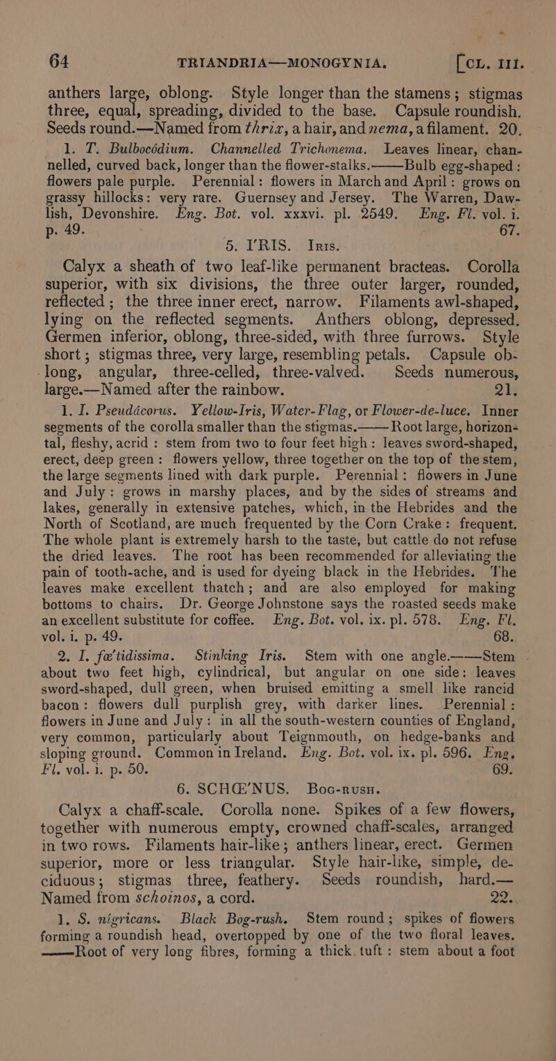 *. 64 TRIANDRIA—MONOGY NIA. pom. tat. | anthers large, oblong. Style longer than the stamens; stigmas three, equal, spreading, divided to the base. Capsule roundish. Seeds round.—Named from ¢thriv, a hair, and nema, afilament. 20. 1. T. Bulbocédium. Channelled Trichonema. Leaves linear, chan- nelled, curved back, longer than the flower-stalks. Bulb egg-shaped : flowers pale purple. Perennial: flowers in Marchand April: grows on grassy hillocks: very rare. Guernsey and Jersey. The Warren, Daw- lish, Devonshire. Eng. Bot. vol. xxxvi. pl. 2549. Eng. Fil. vol. i. p. 49. 67. 5. RIS. Iris. Calyx a sheath of two leaf-like permanent bracteas. Corolla superior, with six divisions, the three outer larger, rounded, reflected ; the three inner erect, narrow. Filaments awl-shaped, lying on the reflected segments. Anthers oblong, depressed. Germen inferior, oblong, three-sided, with three furrows. Style short ; stigmas three, very large, resembling petals. Capsule ob- -long, angular, three-celled, three-valved. Seeds numerous, large.—Named after the rainbow. 2h 1. I. Pseuddcorus. Yellow-Iris, Water-Flag, or Flower-de-luce. Inner segments of the corolla smaller than the stigmas. Root large, horizon- tal, fleshy, acrid : stem from two to four feet high: leaves sword-shaped, erect, deep green: flowers yellow, three together on the top of the stem, the large segments lined with dark purple. Perennial: flowers in June and July: grows in marshy places, and by the sides of streams and lakes, generally in extensive patches, which, in the Hebrides and the North of Scotland, are much frequented by the Corn Crake: frequent. The whole plant is extremely harsh to the taste, but cattle do not refuse the dried leaves. The root has been recommended for alleviating the pain of tooth-ache, and is used for dyeing black in the Hebrides. The leaves make excellent thatch; and are also employed for making bottoms to chairs. Dr. George Johnstone says the roasted seeds make an excellent substitute for coffee. Eng. Bot. vol. ix. pl. 578. Eng. Fl. vol. i. p. 49. 68. 2. I. fe'tidissima. Stinking Iris. Stem with one angle-—-—Stem ~ about two feet high, cylindrical, but angular on one side: leaves sword-shaped, dull green, when bruised emitting a smell like rancid bacon: flowers dull purplish grey, with darker lines. Perennial : flowers in June and July: in all the south-western counties of England, very common, particularly about Teignmouth, on hedge-banks and sloping ground. Common in Ireland. Eng. Bot. vol. ix. pl. 596. Eng, Fl. vol. 1. p. 50. 69. 6. SCHG@’NUS. Boc-rvusu. Calyx a chaff-scale. Corolla none. Spikes of a few flowers, together with numerous empty, crowned chaff-scales, arranged in two rows. Filaments hair-like; anthers linear, erect. Germen superior, more or less triangular. Style hair-like, simple, de- ciduous; stigmas three, feathery. Seeds roundish, hard.— Named from schoinos, a cord. ae 1. S. nigricans. Black Bog-rush. Stem round; spikes of flowers forming a roundish head, overtopped by one of the two floral leaves. ——Root of very long fibres, forming a thick. tuft: stem about a foot