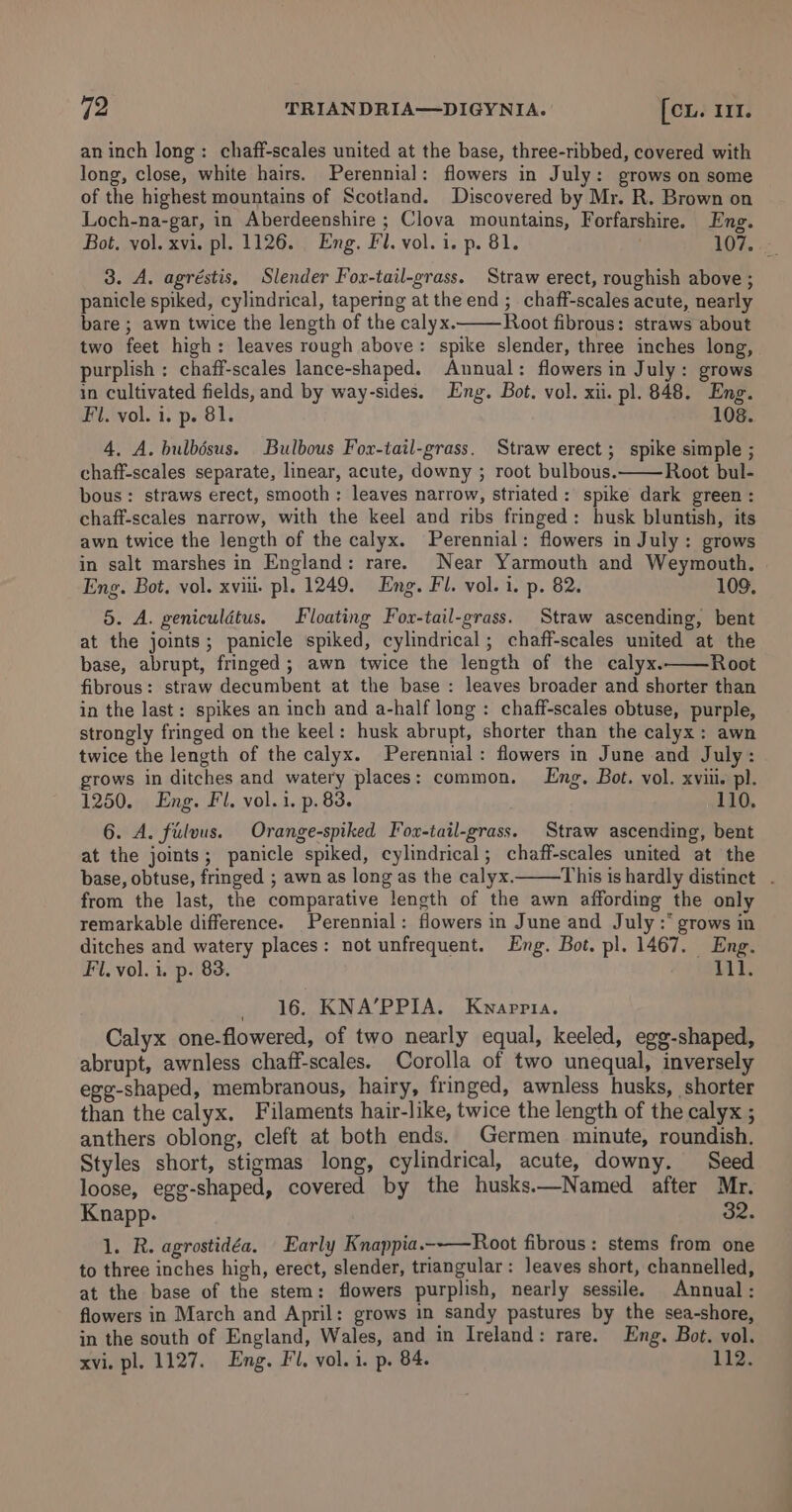 an inch long: chaff-scales united at the base, three-ribbed, covered with long, close, white hairs. Perennial: flowers in July: grows on some of the highest mountains of Scotland. Discovered by Mr. R. Brown on Loch-na-gar, in Aberdeenshire ; Clova mountains, Forfarshire. Eng. Bot. vol. xvi. pl. 1126. Eng. Fl. vol. i. p. 81. LOT. 3. A. agréstis, Slender Fox-tail-grass. Straw erect, roughish above ; panicle spiked, cylindrical, tapering at the end ;_ chaff-scales acute, nearly bare ; awn twice the length of the calyx. Root fibrous: straws about two feet high: leaves rough above: spike slender, three inches long, purplish ; chaff-scales lance-shaped. Annual: flowers in July: grows in cultivated fields, and by way-sides. Eng. Bot. vol. xii. pl. 848. Eng. Fl. vol. i. p. 81. 108. 4. A. bulbésus. Bulbous Fox-tail-grass. Straw erect; spike simple ; chaff-scales separate, linear, acute, downy ; root bulbous. Root bul- bous : straws erect, smooth; leaves narrow, striated: spike dark green : chaff-scales narrow, with the keel and ribs fringed: husk bluntish, its awn twice the length of the calyx. Perennial: flowers in July: grows in salt marshes in England: rare. Near Yarmouth and Weymouth. Eng. Bot. vol. xvii pl. 1249. Eng. Fl. vol. 1. p. 82. 109. 5. A. geniculdtus. Floating Fox-tail-grass. Straw ascending, bent at the joints; panicle spiked, cylindrical; chaff-scales united at the base, abrupt, fringed; awn twice the length of the calyx. Root fibrous: straw decumbent at the base : leaves broader and shorter than in the last: spikes an inch and a-half long: chaff-scales obtuse, purple, strongly fringed on the keel: husk abrupt, shorter than the calyx: awn twice the length of the calyx. Perennial: flowers in June and July: grows in ditches and watery places: common. Lng. Bot. vol. xviii. pl. 1250. Eng. Fl. vol. i. p. 83. 110. 6. A. fuilvus. Orange-spiked Fox-tail-grass. Straw ascending, bent at the joints; panicle spiked, cylindrical; chaff-scales united at the base, obtuse, fringed ; awn as long as the calyx. This is hardly distinct . from the last, the comparative length of the awn affording the only remarkable difference. Perennial: flowers in June and July :* grows in ditches and watery places: not unfrequent. Eng. Bot. pl. 1467. Eng. Fil. vol. i. p. 83. Lil. 16. KNA’PPIA. Kwapria. Calyx one-flowered, of two nearly equal, keeled, egg-shaped, abrupt, awnless chaff-scales. Corolla of two unequal, inversely egg-shaped, membranous, hairy, fringed, awnless husks, shorter than the calyx. Filaments hair-like, twice the length of the calyx ; anthers oblong, cleft at both ends. Germen minute, roundish. Styles short, stigmas long, cylindrical, acute, downy. Seed loose, egg-shaped, covered by the husks.—Named after Mr. Knapp. 32. 1. R. agrostidéa, Early Knappia.-—Root fibrous: stems from one to three inches high, erect, slender, triangular: leaves short, channelled, at the base of the stem: flowers purplish, nearly sessile. Annual: flowers in March and April: grows in sandy pastures by the sea-shore, in the south of England, Wales, and in Ireland: rare. Eng, Bot. vol. xvi. pl. 1127. Eng. Fl, vol. i. p. 84. 112.