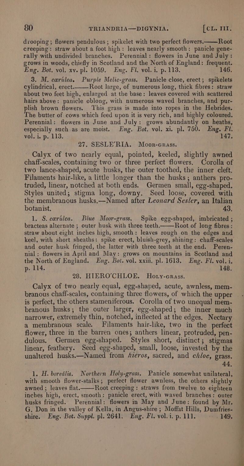 drooping; flowers pendulous; spikelet with two perfect flowers. Root creeping: straw about a foot high: leaves nearly smooth: panicle gene- rally with undivided branches. Perennial: flowers in June and July: grows in woods, chiefly in Scotland and the North of England: frequent. Eng. Bot. vol. xv. pl. 1059. Eng. Fl. vol. 1. p. 113. 146. 3. M. cerilea. Purple Melic-grass. Panicle close, erect ; spikelets cylindrical, erect. Root large, of numerous long, thick fibres: straw about two feet high, enlarged at the base: leaves covered with scattered hairs above: panicle oblong, with numerous waved branches, and pur- plish brown flowers. This grass is made into ropes in the Hebrides. The butter of cows which feed upon it is very rich, and highly coloured. Perennial: flowers in June and July: grows abundantly on heaths, especially such as are moist. Eng. Bot. vol. xi. pl. 750. Eng. Fl. vol. i. p. 113. 147. 27. SESLE’RIA. Moor-crass. Calyx of two nearly equal, pointed, keeled, slightly awned chaff-scales, containing two or three perfect flowers. Corolla of two lance-shaped, acute husks, the outer toothed, the inner cleft. Filaments hair-like, a little longer than the husks; anthers pro- truded, linear, notched at both ends. Germen small, egg-shaped. Styles united; stigma long, downy. Seed loose, covered with the membranous husks.—Named after Leonard Sesler, an Italian botanist. 43, 1. S.certilea. Blue Moor-grass. Spike egg-shaped, imbricated ; bracteas alternate ; outer husk with three teeth. Root of long fibres : straw about eight inches high, smooth: leaves rough on the edges and keel, with short sheaths: spike erect, bluish-grey, shining: chaff-scales and outer husk fringed, the latter with three teeth at the end. Peren- nial ; flowers in April and May: grows on mountains in Scotland and the North of England. Eng. Bot. vol. xxii. pl. 1613. Eng. Fl. vol. i. p- 114. 148. 28. HIERO’CHLOE. Hoty-crass. Calyx of two nearly equal, egg-shaped, acute, awnless, mem- branous chaff-scales, containing three flowers, of which the upper is perfect, the others stameniferous. Corolla of two unequal mem- branous husks; the outer larger, egg-shaped; the inner much narrower, extremely thin, notched, inflected at the edges. Nectary a membranous scale. Filaments hair-like, two in the perfect flower, three in the barren ones; anthers linear, protruded, pen- dulous, Germen egg-shaped. Styles short, distinct; stigmas linear, feathery. Seed egg-shaped, small, loose, invested by the unaltered husks.—Named from Azeros, sacred, and chloe, grass. | 44, 1. H. boredlis. Northern Holy-grass. Panicle somewhat unilateral, with smooth flower-stalks; perfect flower awnless, the others slightly awned ; leaves flat. Root creeping : straws from twelve to eighteen inches high, erect, smooth: panicle erect, with waved branches: outer husks fringed. Perennial: flowers in May and June: found by Mr. G. Don in the valley of Kella, in Angus-shire ; Moffat Hills, Dumfries- shire. Eng. Bot. Suppl. pl. 2641. Eng. Fl. vol.i. p. 111. . 149, as ee a