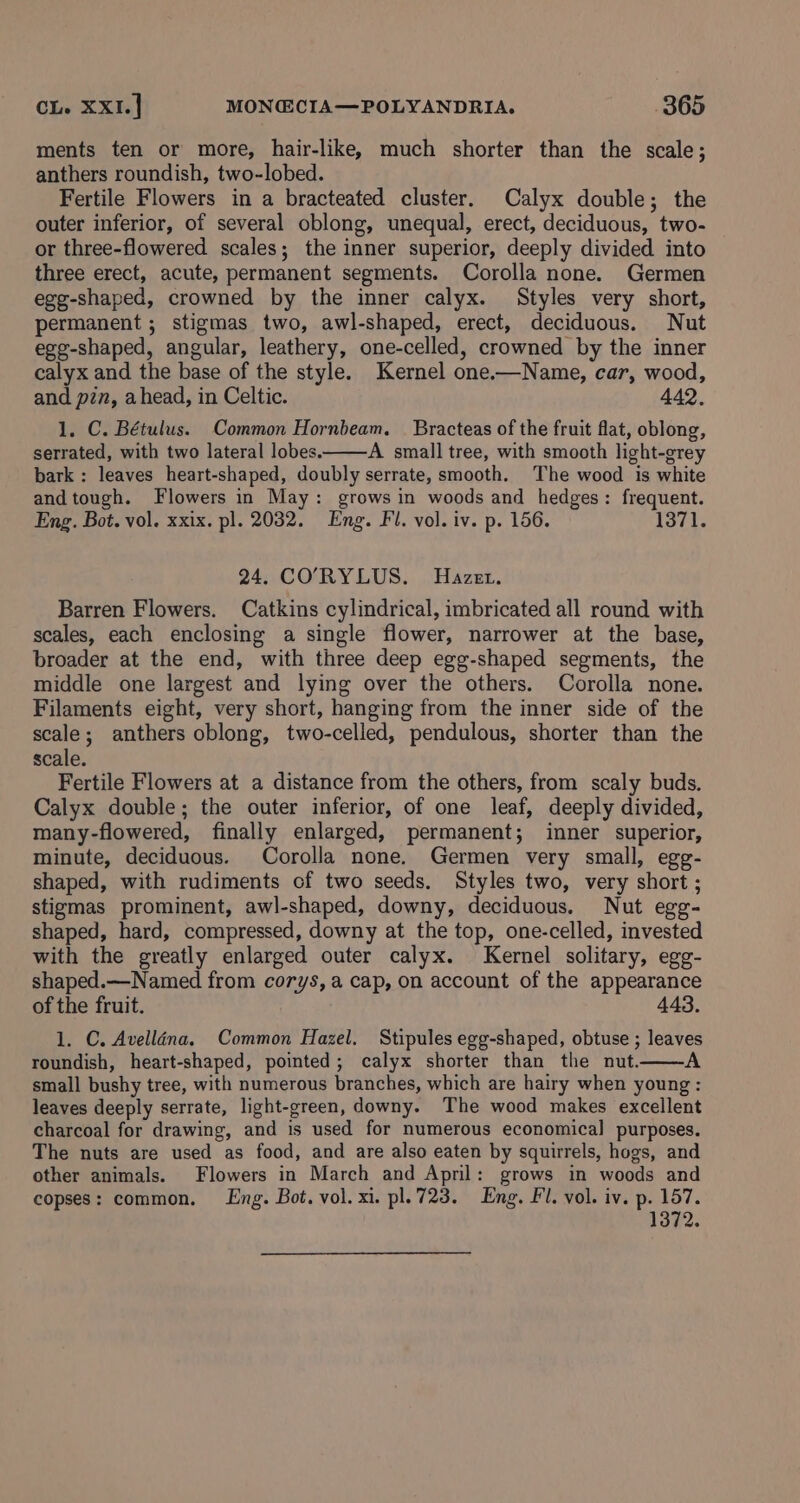 ments ten or more, hair-like, much shorter than the scale; anthers roundish, two-lobed. Fertile Flowers in a bracteated cluster. Calyx double; the outer inferior, of several oblong, unequal, erect, deciduous, two- or three-flowered scales; the inner superior, deeply divided into three erect, acute, permanent segments. Corolla none. Germen egg-shaped, crowned by the inner calyx. Styles very short, permanent ; stigmas two, awl-shaped, erect, deciduous. Nut egg-shaped, angular, leathery, one-celled, crowned by the inner calyx and the base of the style. Kernel one.—Name, car, wood, and pin, ahead, in Celtic. 442. 1. C. Bétulus. Common Hornbeam. — Bracteas of the fruit flat, oblong, serrated, with two lateral lobes. A small tree, with smooth light-grey bark : leaves heart-shaped, doubly serrate, smooth. The wood is white andtough. Flowers in May: grows in woods and hedges: frequent. Eng. Bot. vol. xxix. pl. 2032. Eng. Fl. vol. iv. p. 156. 1371. 24, CO'RYLUS. Hazet. Barren Flowers. Catkins cylindrical, imbricated all round with scales, each enclosing a single flower, narrower at the base, broader at the end, with three deep egg-shaped segments, the middle one largest and lying over the others. Corolla none. Filaments eight, very short, hanging from the inner side of the scale; anthers oblong, two-celled, pendulous, shorter than the scale. Fertile Flowers at a distance from the others, from scaly buds. Calyx double; the outer inferior, of one leaf, deeply divided, many-flowered, finally enlarged, permanent; inner superior, minute, deciduous. Corolla none. Germen very small, egg- shaped, with rudiments of two seeds. Styles two, very short ; stigmas prominent, awl-shaped, downy, deciduous. Nut egg- shaped, hard, compressed, downy at the top, one-celled, invested with the greatly enlarged outer calyx. Kernel solitary, egg- shaped.—Named from corys,a cap, on account of the appearance of the fruit. 443. 1. C. Avelléna. Common Hazel. Stipules egg-shaped, obtuse ; leaves roundish, heart-shaped, pointed; calyx shorter than the nut. small bushy tree, with numerous branches, which are hairy when young : leaves deeply serrate, light-green, downy. The wood makes excellent charcoal for drawing, and is used for numerous economical purposes. The nuts are used as food, and are also eaten by squirrels, hogs, and other animals. Flowers in March and April: grows in woods and copses: common. Lng. Bot. vol. xi. pl. 723. Eng. Fl. vol. iv. p. 157. 1372.