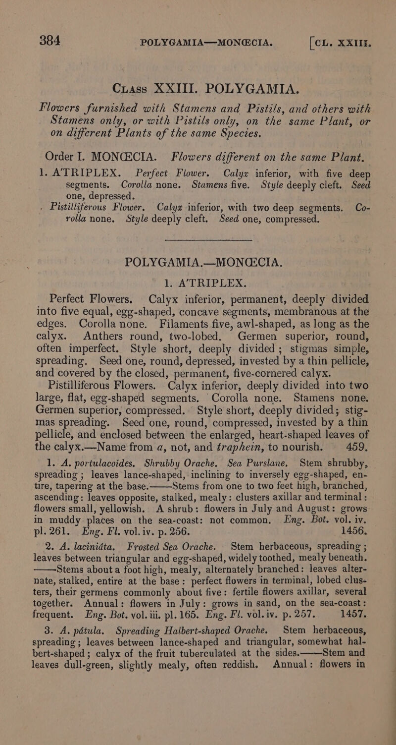 Cuass XXIII. POLYGAMIA. Flowers furnished with Stamens and Pistils, and others with Stamens only, or with Pistils only, on the same Plant, or on different Plants of the same Species. Order I. MONCECIA. Flowers different on the same Plant. 1. ‘TRIPLEX. Perfect Flower. Calyx inferior, with five deep segments. Corolla none. Stamens five. Style deeply cleft. Seed one, depressed. . Pistilliferous Flower. Calya inferior, with two deep segments. Co- rolla none. Style deeply cleft. Seed one, compressed. POLYGAMIA.—MONQ(ECIA. 1. A’TRIPLEX. Perfect Flowers. Calyx inferior, permanent, deeply divided into five equal, egg-shaped, concave segments, membranous at the edges. Corolla none. Filaments five, awl-shaped, as long as the calyx. Anthers round, two-lobed. Germen superior, round, often imperfect. Style short, deeply divided; stigmas simple, spreading. Seed one, round, depressed, invested by a thin pellicle, and covered by the closed, permanent, five-cornered calyx. Pistilliferous Flowers. Calyx inferior, deeply divided into two large, flat, egg-shaped segments. Corolla none. Stamens none. Germen superior, compressed. Style short, deeply divided; stig- mas spreading. Seed one, round, compressed, invested by a thin pellicle, and enclosed between the enlarged, heart-shaped leaves of the calyx.—Name from a, not, and traphein, to nourish. 459. 1. A. portulacoides. Shrubby Orache. Sea Purslane. Stem shrubby, spreading ; leaves lance-shaped, inclining to inversely egg-shaped, en- tire, tapering at the base..: Stems from one to two feet high, branched, ascending: leaves opposite, stalked, mealy: clusters axillar and terminal : flowers small, yellowish. A shrub: flowers in July and August: grows in muddy places on the sea-coast: not common. Lng. Bot. vol. iv. pl. 261. Eng. Fl. vol. iv. p. 256. 1456. 2. A. lacinidta. Frosted Sea Orache. Stem herbaceous, spreading ; leaves between triangular and egg-shaped, widely toothed, mealy beneath. Stems about a foot high, mealy, alternately branched: leaves alter- nate, stalked, entire at the base: perfect flowers in terminal, lobed clus- ters, their germens commonly about five: fertile flowers axillar, several together. Annual: flowers in July: grows in sand, on the sea-coast : frequent. Eng. Bot. vol. iii. pl. 165. Eng. Fl. vol.iv. p. 257. 1457. 3. A. pdtula. Spreading Halbert-shaped Orache. Stem herbaceous, spreading ; leaves between lance-shaped and triangular, somewhat hal- bert-shaped ; calyx of the fruit tuberculated at the sides. Stem and leaves dull-green, slightly mealy, often reddish, Annual: flowers in