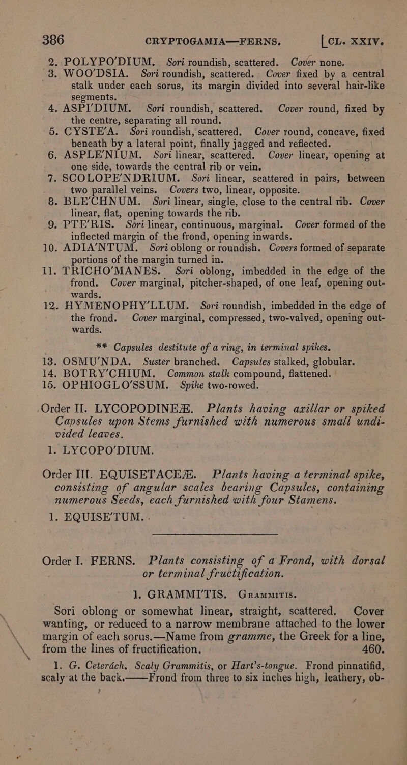 . POLYPO’DIUM. Sori roundish, scattered. Cover none. . WOO'DSIA. Sori roundish, scattered. Cover fixed by a central stalk under each sorus, its margin divided into several hair-like segments. | .» ASPI’'DIUM. Sori roundish, scattered. Cover round, fixed by the centre, separating all round. . CYSTE’A. Sori roundish, scattered. Cover round, concave, fixed beneath by a lateral point, finally jagged and reflected. _ . ASPLE’NIUM. Sori linear, scattered. Cover linear, opening at one side, towards the central rib or vein. - SCOLOPE’NDRIUM. Sori linear, scattered in pairs, between two parallel veins. Covers two, linear, opposite. . BLE’CHNUM. Sori linear, single, close to the central rib. Cover linear, flat, opening towards the rib. . PTE’RIS. Sori linear, continuous, marginal. Cover formed of the inflected margin of the frond, opening inwards. 10. ADIA’NTUM. Sori oblong or roundish. Covers formed of separate portions of the margin turned in. 11. TRICHO’MANES. Sori oblong, imbedded in the edge of the frond. Cover marginal, pitcher-shaped, of one leaf, opening out- . wards. 12. HYMENOPHY’LLUM. Sori roundish, imbedded in the edge of the frond. Cover marginal, compressed, two-valved, opening out- wards. jee we) ig CO Se Ste.) Ot a ip ** Capsules destitute of a ring, in terminal spikes. 13. OSMU’NDA. Suster branched. Capsules stalked, globular. 14. BOTRY’CHIUM. Common stalk compound, flattened. 15. OPHIOGLO’SSUM. = Spike two-rowed. Order Il. LYCOPODINEH. Plants having axillar or spiked Capsules upon Stems furnished with numerous small undi- vided leaves. 1. LYCOPO’DIUM. Order III. EQUISETACEH. Plants having a terminal spike, consisting of angular scales bearing Capsules, containing numerous Seeds, each furnished with four Stamens. 1. EQUISE’'TUM. . Order I. FERNS. Plants consisting of a Frond, with dorsal or terminal fructification. 1. GRAMMI’TIS. Grammitts. Sori oblong or somewhat linear, straight, scattered. Cover wanting, or reduced to a narrow membrane attached to the lower margin of each sorus.x—Name from gramme, the Greek for a line, from the lines of fructification. 460. 1. G. Ceterdéch. Scaly Grammitis, or Hart’s-tongue. Frond pinnatifid, scaly‘at the back. Frond from three to six inches high, leathery, ob- &gt; /