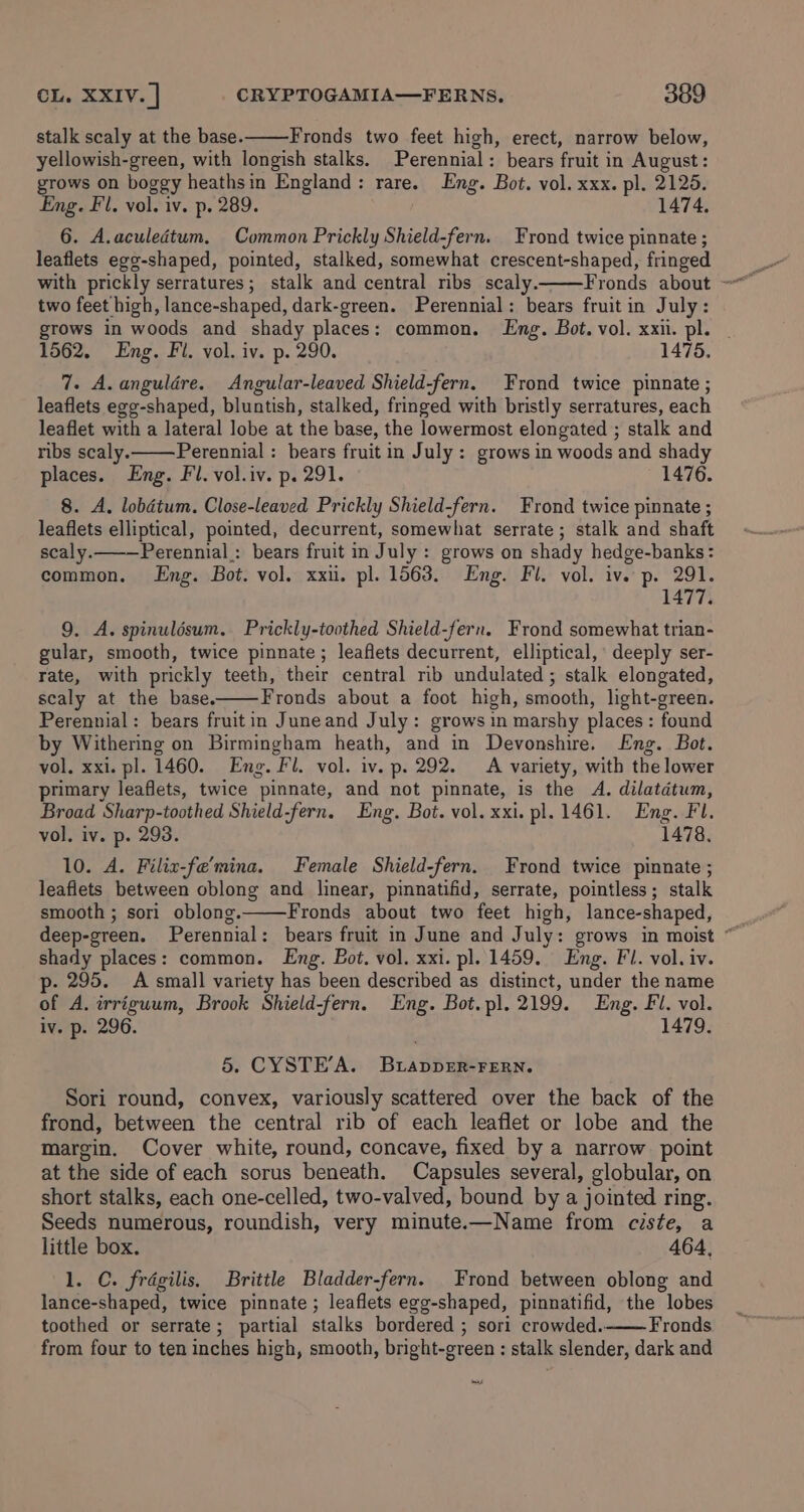 stalk scaly at the base. Fronds two feet high, erect, narrow below, yellowish-green, with longish stalks. Perennial: bears fruit in August: grows on boggy heathsin England: rare. Eng. Bot. vol. xxx. pl. 2125. Eng. Fl. vol. iv. p. 289. 1474. 6. A.aculeétum. Common Prickly Shield-fern. Frond twice pinnate ; leaflets egg-shaped, pointed, stalked, somewhat crescent-shaped, fringed with prickly serratures; stalk and central ribs scaly. two feet high, lance-shaped, dark-green. Perennial: bears fruitin July: grows in woods and shady places: common. Lng. Bot. vol. xxi. pl. - 1562. Eng. Fl. vol. iv. p. 290. 1475. 7. A. angulére. Angular-leaved Shield-fern. Frond twice pinnate ; leaflets egg-shaped, bluntish, stalked, fringed with bristly serratures, each leaflet with a lateral lobe at the base, the lowermost elongated ; stalk and ribs scaly. Perennial : bears fruit in July: grows in woods and shady places. Eng. Fl. vol.iv. p. 291. 1476. 8. A. lobdium. Close-leaved Prickly Shield-fern. Frond twice pinnate ; leaflets elliptical, pointed, decurrent, somewhat serrate; stalk and shaft scaly. Perennial: bears fruit in July : grows on shady hedge-banks: common. Eng. Bot. vol. xxi. pl. 1563. Eng. Fl. vol. iv. p. 291. 1477. 9. A. spinuldsum. Prickly-toothed Shield-fern. Frond somewhat trian- gular, smooth, twice pinnate; leaflets decurrent, elliptical, deeply ser- rate, with prickly teeth, their central rib undulated ; stalk elongated, scaly at the base. Fronds about a foot high, smooth, light-green. Perennial: bears fruitin Juneand July: grows in marshy places : found by Withering on Birmingham heath, and in Devonshire. Eng. Bot. vol. xxi. pl. 1460. Eng. Fl. vol. iv. p. 292. A variety, with the lower primary leaflets, twice pinnate, and not pinnate, is the A. dilatdtum, Broad Sharp-toothed Shield-fern. Eng. Bot. vol. xxi. pl. 1461. Eng. Fl. vol. iv. p. 293. 1478, 10. A. Filix-fe’mina. Female Shield-fern. Frond twice pinnate ; leaflets between oblong and linear, pinnatifid, serrate, pointless; stalk smooth ; sori oblong. Fronds about two feet high, lance-shaped, shady places: common. Eng. Bot. vol. xxi. pl. 1459. Eng. Fl. vol. iv. p- 295. A small variety has been described as distinct, under the name of A. irriguum, Brook Shield-fern. Eng. Bot. pl. 2199. Eng. Fi. vol. iv. p. 296. 1479. 5. CYSTE’A. Buiapper-FERN. Sori round, convex, variously scattered over the back of the frond, between the central rib of each leaflet or lobe and the margin. Cover white, round, concave, fixed by a narrow point at the side of each sorus beneath. Capsules several, globular, on short stalks, each one-celled, two-valved, bound by a jointed ring. Seeds numerous, roundish, very minute.—Name from ciste, a little box. 464, 1. C. frégilis. Brittle Bladder-fern. Frond between oblong and lance-shaped, twice pinnate ; leaflets egg-shaped, pinnatifid, the lobes toothed or serrate; partial stalks bordered ; sori crowded.——Fronds from four to ten inches high, smooth, bright-green : stalk slender, dark and Ee