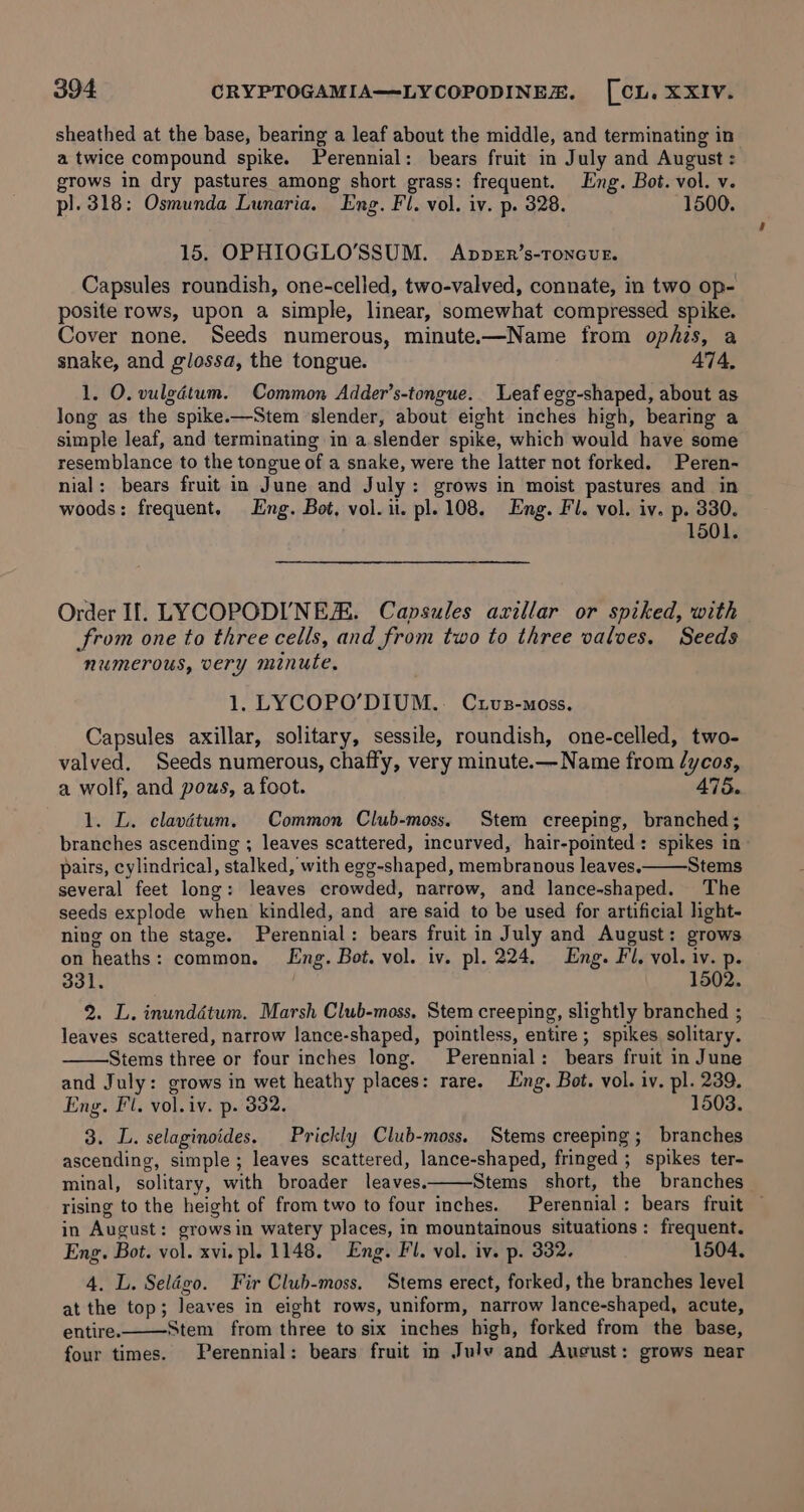 sheathed at the base, bearing a leaf about the middle, and terminating in a twice compound spike. Perennial: bears fruit in July and August: grows in dry pastures among short grass: frequent. Eng. Bot. vol. v. pl. 318: Osmunda Lunaria. Eng. Fl. vol. iv. p. 328. 1500. 15. OPHIOGLO’SSUM. AnppeEr’s-ToncvUE. Capsules roundish, one-celled, two-valved, connate, in two op- posite rows, upon a simple, linear, somewhat compressed spike. Cover none. Seeds numerous, minute-—Name from opfis, a snake, and glossa, the tongue. 474, 1, O. vulgétum. Common Adder’s-tongue. Leaf egg-shaped, about as long as the spike.—Stem slender, about eight inches high, bearing a simple leaf, and terminating in a slender spike, which would have some resemblance to the tongue of a snake, were the latter not forked. Peren- nial: bears fruit in June and July: grows in moist pastures and in woods: frequent, Eng. Bot, vol. il. pl. 108. Eng. Fl. vol. iv. p. 330. 1501. Order If. LYCOPODI'NER. Capsules axillar or spiked, with from one to three cells, and from two to three valoes. Seeds numerous, very minute, 1, LYCOPO’DIUM.. Cuvs-nmoss. Capsules axillar, solitary, sessile, roundish, one-celled, two- valved. Seeds numerous, chaffy, very minute. Name from /ycos, a wolf, and pous, a foot. 475. 1. L. clavétum. Common Club-moss. Stem creeping, branched; branches ascending ; leaves scattered, incurved, hair-pointed : spikes in pairs, cylindrical, stalked, with egg-shaped, membranous leaves, Stems several feet long: leaves crowded, narrow, and lance-shaped. The seeds explode when kindled, and are said to be used for artificial light- ning on the stage. Perennial: bears fruit in July and August: grows on heaths: common. Lng. Bot. vol. iv. pl. 224. Eng. Fil, vol. iv. p. 331. . 2. L. inundétum. Marsh Club-moss, Stem creeping, slightly branched ; leaves scattered, narrow lance-shaped, pointless, entire ; spikes solitary. Stems three or four inches long. Perennial: bears fruit in June and July: grows in wet heathy places: rare. Eng. Bot. vol. iv. pl. 239. Eng. Fl. vol. iv. p. 332. 1503. 3. L. selaginoides. Prickly Club-moss. Stems creeping; branches ascending, simple; leaves scattered, lance-shaped, fringed ; spikes ter- minal, solitary, with broader leaves. Stems short, the branches rising to the height of from two to four inches. Perennial: bears fruit — in August: growsin watery places, in mountainous situations: frequent. Eng. Bot. vol. xvi. pl. 1148. Eng. Fl. vol. iv. p. 332. 1504, 4. L. Selégo. Fir Club-moss. Stems erect, forked, the branches level at the top; leaves in eight rows, uniform, narrow lance-shaped, acute, entire. Stem from three to six inches high, forked from the base, four times. Perennial: bears fruit in Julv and Ausust: grows near