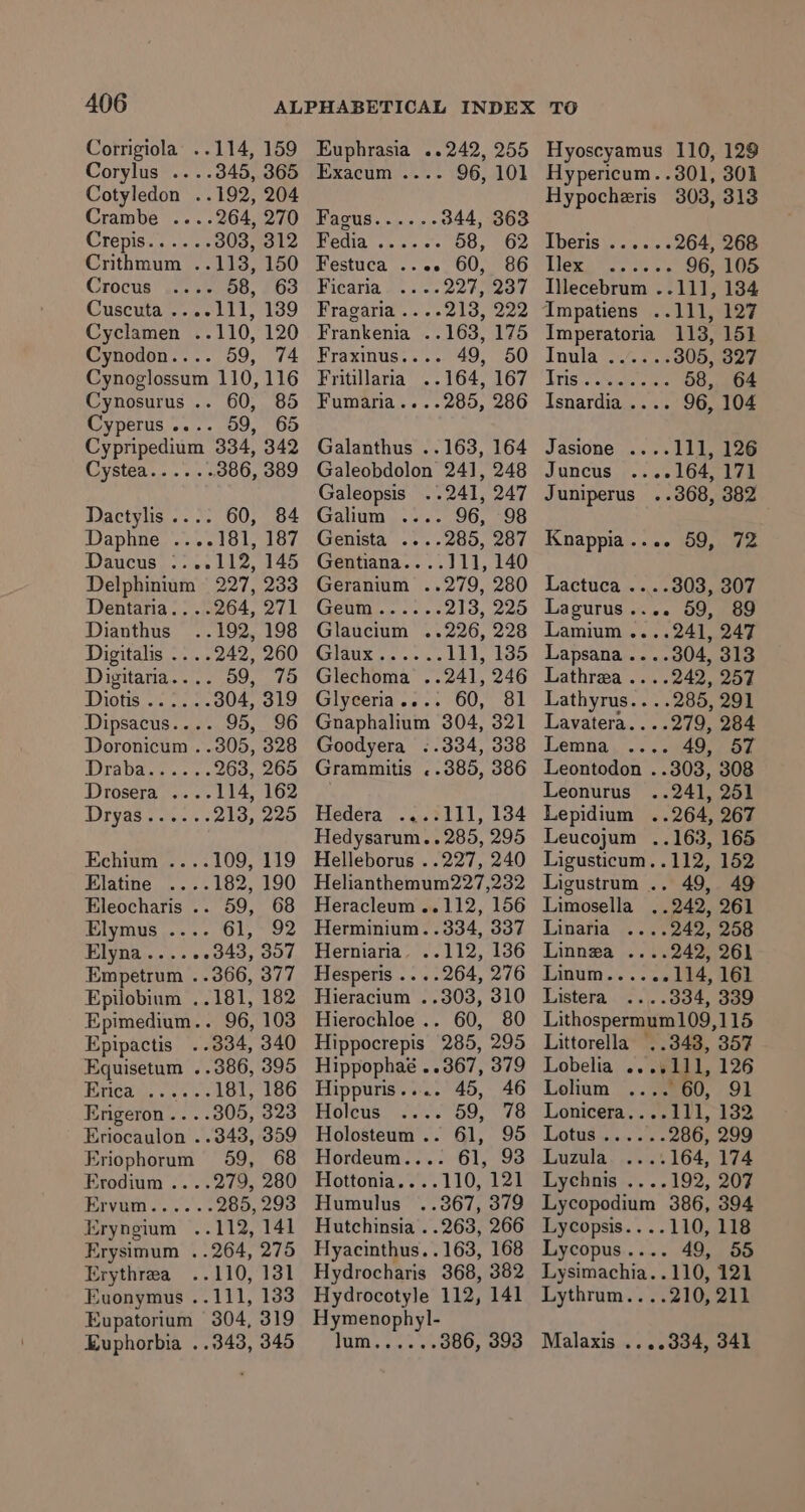 Corrigiola ..114, 159 Corylus ....345, 365 Cotyledon ..192, 204 Crambe ....264, 270 CIEDIS=.5..— ee 303, 312 Crithmum ..113, 150 Crocus - 08, 63 Cuscuta ....111, 139 Cyclamen ..110, 120 Cynodon.... 59, 74 Cynoglossum 110,116 Cynosurus .. 60, 85 Cyperus .... 59, 65 Cypripedium 334, 342 Cystea...... 386, 389 Dactylis.... 60, 84 Daphne ....181, 187 Daucus ....112, 145 Delphinium 227, 233 Dentaria....264, 271 Dianthus ..192, 198 Digitalis ....242, 260 Digitaria.... 59, 75 PIG TS ta ste yal 304, 319 Dipsacus.... 95, 96 Doronicum . .305, 328 Lc es angee 263, 265 Drosera ....114, 162 Dirpass ees: 213, 225 Echium ....109, 119 Elatine ..- 182, 190 Eleocharis .. 59, 68 Elymus .... 61, 92 Elyna......343, 307 Empetrum ..366, 377 Epilobinm ..181, 182 Epimedium.. 96, 103 Epipactis ..334, 340 Equisetum ..386, 395 fA loc Oo ae 181, 186 Erigeron.. ..305, 323 Eriocaulon ..3438, 359 Eriophorum 59, 68 Erodium ....279, 280 Erynm &lt;....°.5 285, 293 Eryngium ..112, 141 Erysimum ..264, 275 Erythrea ..110, 131 Euonymus ..111, 133 Eupatorium 3804, 319 Euphorbia ..343, 345 Euphrasia ..242, 255 Exacum .... 96, 101 Fagus...... 344, 363 Fedia 58, 62 Festuca ..e. 60, 86 Ficaria 227, 237 Fragaria ....213, 222 Frankenia ..163, 175 Fraxinus.... 49, 50 Fritillaria ..164, 167 Fumaria....285, 286 Galanthus ..163, 164 Galeobdolon 241, 248 Galeopsis ..241, 247 Galium .... 96, 98 Genista ....285, 287 Gentiana....111, 140 Geranium ..279, 280 ReMi boca shies 213, 225 Glaucium ..226, 228 Cs1BUK oe es we ltd, LoD Glechoma ..241, 246 Glyceria.... 60, 81 Gnaphalium 304, 321 Goodyera ..334, 338 Grammitis ..385, 386 Hedera ....111, 134 Hedysarum.. 285, 295 Helleborus ..227, 240 Helianthemum227,232 Heracleum ..112, 156 Herminium. .334, 337 Herniaria. ..112, 136 Hesperis ....264, 276 Hieracium ..303, 310 Hierochloe .. 60, 80 Hippocrepis 285, 295 Hippophaé ..367, 379 Hippuris.... 45, 46 Holcus Bi a? f Holosteum.. 61, 95 Hordeum.... 61, 93 Hottonia....110, 121 Humulus_ ..367, 379 Hutchinsia . .263, 266 Hyacinthus..163, 168 Hydrocharis 368, 382 Hydrocotyle 112, 141 Hymenophyl- TUDE 4 sa 105 386, 393 Hyoscyamus 110, 129 Hypericum. .301, 301 Hypocheris 303, 313 Iberis llex 96, 105 Ilecebrum ..11], 134 --111, 427 Imperatoria 113, 151 lnnla&lt;haee 305, 327 Tete ye ees 58, 64 Isnardia .... 96, 104 Jasione ....111, 126 Juncus ....164, 171 Juniperus ..368, 382 Knappia.... 59, 72 Lactuca ....303, 307 Lagurus.... 59, 89 Lamium ....241, 247 Lapsana ....304, 313 Lathrea ....242, 257 Lathyrus.. . .285, 291 Lavatera....279, 284 Lemna » 495) SL Leontodon . 303, 308 Leonurus ..241, 251 Lepidium ..264, 267 Leucojum ..163, 165 Ligusticum..112, 152 Ligustrum .. 49, 49 Limosella ,.242, 261 Linaria ....242, 258 Linnza ....242, 261 Linum......114, 161 Listera . 034, 339 Lithospermum109,115 Littorella ..348, 357 Lobelia .. “lL, 126 Lolium . 60, 91 Lonicera.. ble bi 132 LOUIS tis notes 286, 299 Luzula .. 164, 174 Lychnis ....192, 207 Lycopodium 386, 394 Lycopsis....110, 118 Lycopus.... 49, 55 Lysimachia..110, 121 Lythrum....210, 211 Malaxis ....334, 341