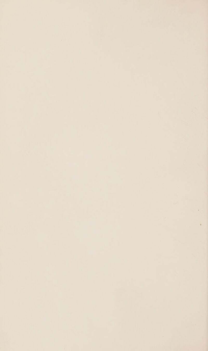 - oy) nn . ; o 7 , . a : 2 ’ ; > ; 7