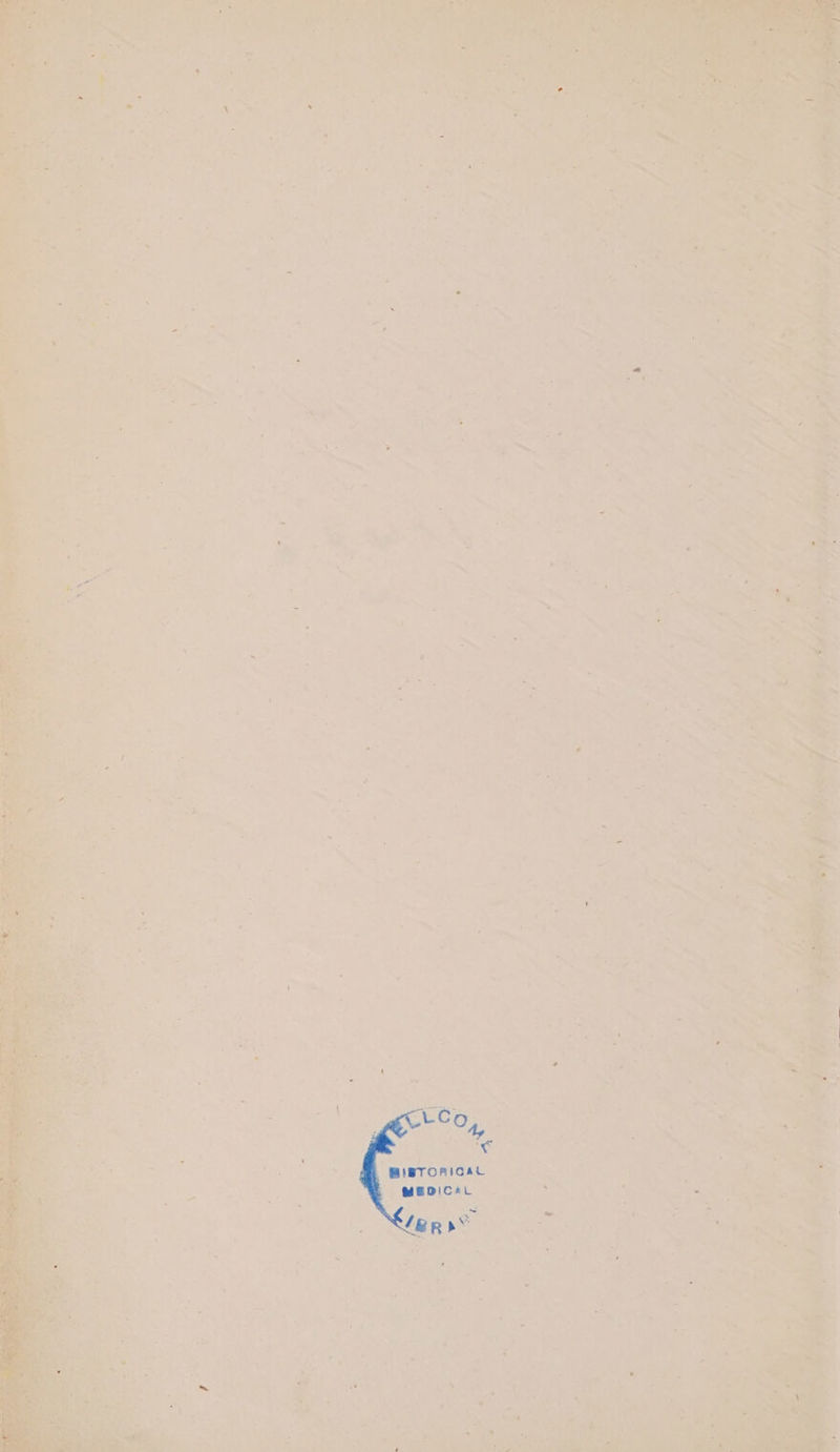 BiBTORIGAL MEDICAL