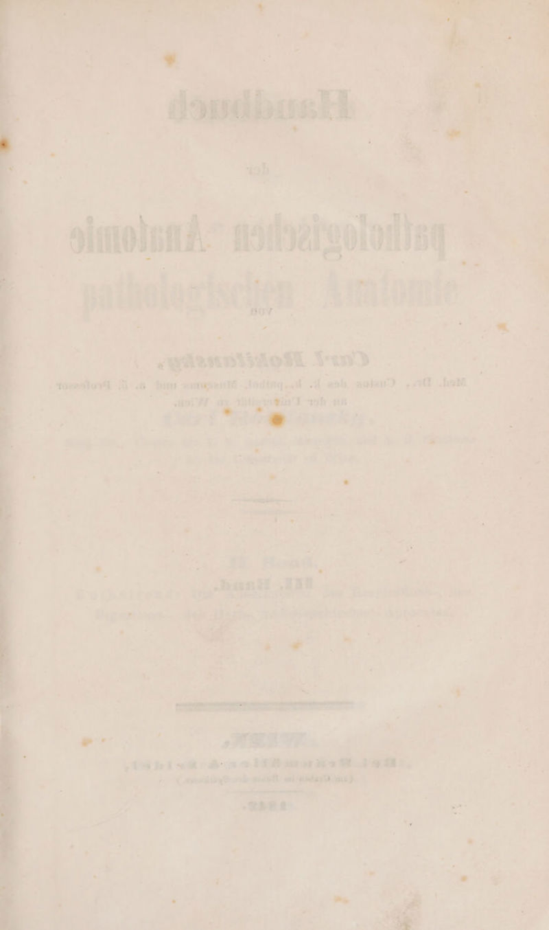 Slmolsnd mare huotong > u ‚ palholagisc Ischen Am Yiomie annisiost 2. | ee is & Me DIS 22 Bere” han FE lodteg..d A aoh ade”) „a ‚halt ey 2 hl iii) +3b u 2 En en a Be, 4 '# “ 2 r Scht Fee, u | . 5 Ey Asıtyas? UA RREST: am de k: sa; bie » I ala “ A n R R - j / - ö . u > j u R: : = Inban > ak n Ku 7 nd X n yon» = .