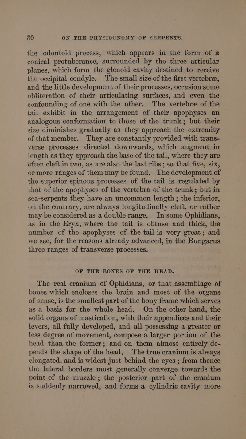 the odontoid process, which appears in the form of à conical protuberance, surrounded by the three articular planes, which form the glenoid cavity destined to receive the occipital condyle. The small size of the first vertebra, and the little development of their processes, occasion some obliteration of their articulating surfaces, and even the confounding of one with the other. The vertebræ of the tail exhibit in the arrangement of their apophyses an analogous conformation to those of the trunk; but their size diminishes gradually as they approach the extremity of that member. They are constantly provided with trans- verse processes directed downwards, which augment in length as they approach the base of the tail, where they are often cleft in two, as are also the last ribs; so that five, six, or more ranges of them may be found, The development, of the superior spinous processes of the tail is regulated by that of the apophyses of the vertebra of the trunk; but in sea-serpents they have an uncommon length ; the inferior, on the contrary, are always longitudinally cleft, or rather may be considered as a double range. In some Ophidians, as in the Eryx, where the tail is obtuse and thick, the number of the apophyses of the tail is very great; and we see, for the reasons already advanced, in the Bungarus three ranges of transverse processes. OF THE BONES OF THE HEAD, The real cranium of Ophidians, or that assemblage of bones which encloses the brain and most of the organs of sense, is the smallest part of the bony frame which serves as a basis for the whole head. On the other hand, the solid organs of mastication, with their appendices and their levers, all fully developed, and all possessing a greater or less degree of movement, compose a larger portion of the head than the former; and on them almost entirely de- pends the shape of the head, The true cranium is always elongated, and is widest just behind the eyes ; from thence the lateral borders most generally converge towards the point of the muzzle; the posterior part of the cranium is suddenly narrowed, and forms a cylindric cavity more