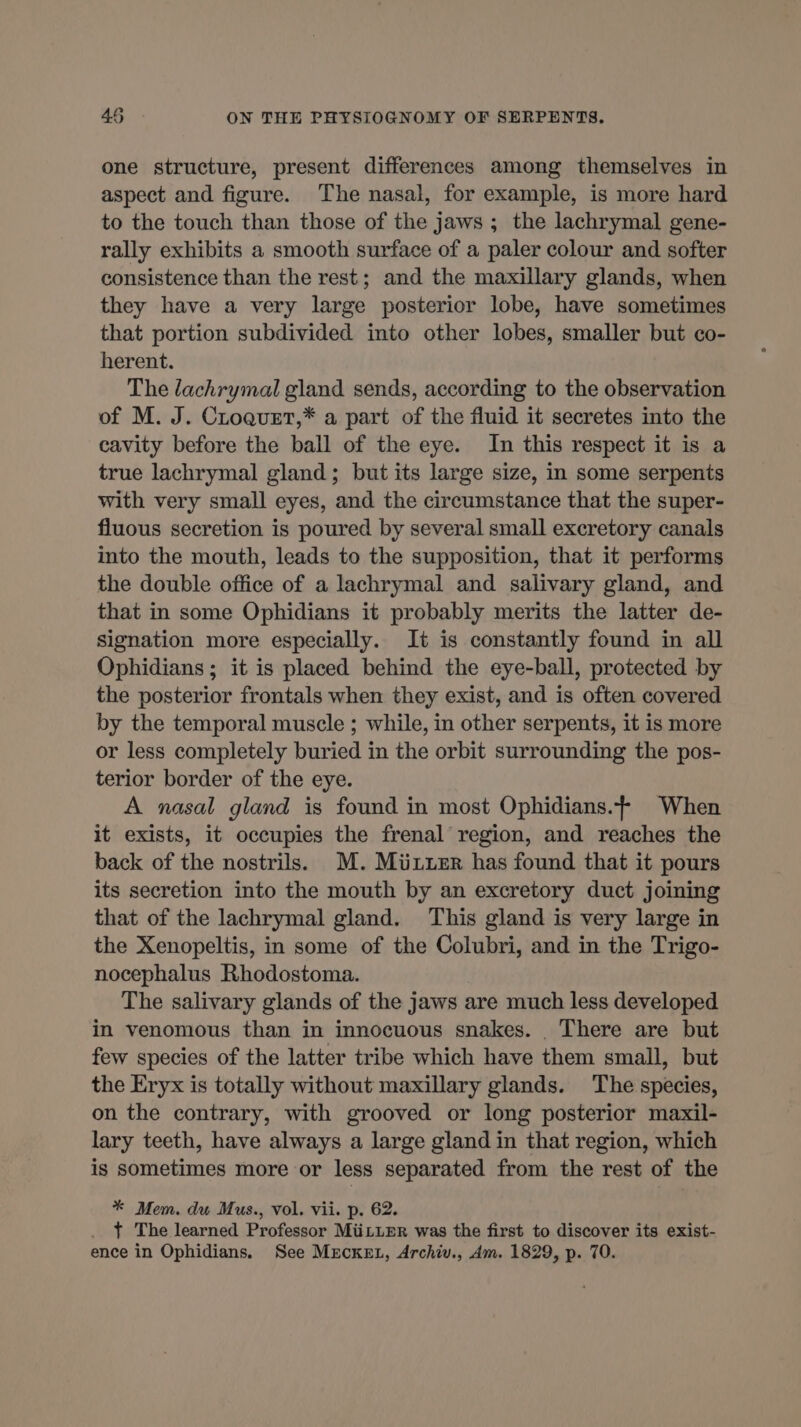 one structure, present differences among themselves in aspect and figure. The nasal, for example, is more hard to the touch than those of the jaws ; the lachrymal gene- rally exhibits a smooth surface of a paler colour and softer consistence than the rest; and the maxillary glands, when they have a very large posterior lobe, have sometimes that portion subdivided into other lobes, smaller but co- herent. The lachrymal gland sends, according to the observation of M. J. Croquet,* a part of the fluid it secretes into the cavity before the ball of the eye. In this respect it is a true lachrymal gland; but its large size, in some serpents with very small eyes, and the circumstance that the super- fluous secretion is poured by several small excretory canals into the mouth, leads to the supposition, that it performs the double office of a lachrymal and salivary gland, and that in some Ophidians it probably merits the latter de- signation more especially. It is constantly found in all Ophidians ; it is placed behind the eye-ball, protected by the posterior frontals when they exist, and is often covered by the temporal muscle ; while, in other serpents, it is more or less completely buried in the orbit surrounding the pos- terior border of the eye. A nasal gland is found in most Ophidians.+ When it exists, it occupies the frenal region, and reaches the back of the nostrils. M. Mixer has found that it pours its secretion into the mouth by an excretory duct joining that of the lachrymal gland. This gland is very large in the Xenopeltis, in some of the Colubri, and in the Trigo- nocephalus Rhodostoma. The salivary glands of the jaws are much less developed in venomous than in innocuous snakes. . There are but few species of the latter tribe which have them small, but the Eryx is totally without maxillary glands. The species, on the contrary, with grooved or long posterior maxil- lary teeth, have always a large gland in that region, which is sometimes more or less separated from the rest of the * Mem. du Mus., vol. vii. p. 62. _ t The learned Professor MüLLER was the first to discover its exist- ence in Ophidians. See MEcKkez, Archiv., Am. 1829, p. 70.