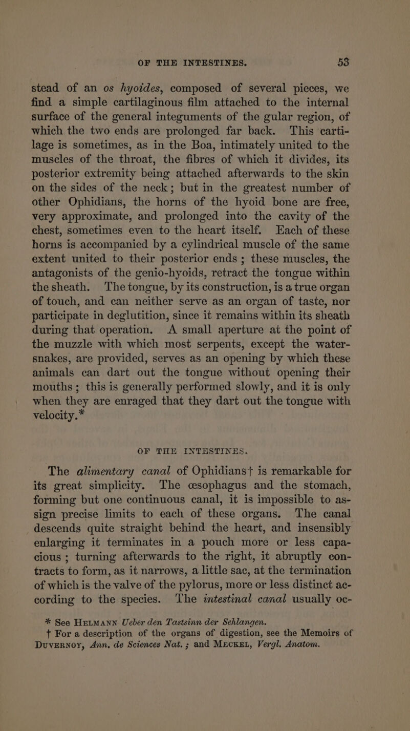 stead of an os hyoides, composed of several pieces, we find a simple cartilaginous film attached to the internal surface of the general integuments of the gular region, of which the two ends are prolonged far back. This carti- lage is sometimes, as in the Boa, intimately united to the muscles of the throat, the fibres of which it divides, its posterior extremity being attached afterwards to the skin on the sides of the neck; but in the greatest number of other Ophidians, the horns of the hyoid bone are free, very approximate, and prolonged into the cavity of the chest, sometimes even to the heart itself. Each of these horns is accompanied by a cylindrical muscle of the same extent united to their posterior ends ; these muscles, the antagonists of the genio-hyoids, retract the tongue within the sheath. The tongue, by its construction, is a true organ of touch, and can neither serve as an organ of taste, nor participate in deglutition, since it remains within its sheath during that operation. A small aperture at the point of the muzzle with which most serpents, except the water- snakes, are provided, serves as an opening by which these animals can dart out the tongue without opening their mouths; this is generally performed slowly, and it is only when they are enraged that they dart out the tongue with velocity.* OF THE INTESTINES. The alimentary canal of Ophidianst is remarkable for its great simplicity. The oesophagus and the stomach, forming but one continuous canal, it is impossible to as- sign precise limits to each of these organs. The canal descends quite straight behind the heart, and insensibly enlarging it terminates in a pouch more or less capa- cious ; turning afterwards to the right, it abruptly con- tracts to form, as it narrows, a little sac, at the termination of which is the valve of the pylorus, more or less distinct ae- cording to the species. The intestinal canal usually oc- * See HELMANN Ueber den Tastsinn der Sehlangen. + For a description of the organs of digestion, see the Memoirs of DuverNoy, Ann, de Sciences Nat.; and MecKez, Vergl. Anatom.