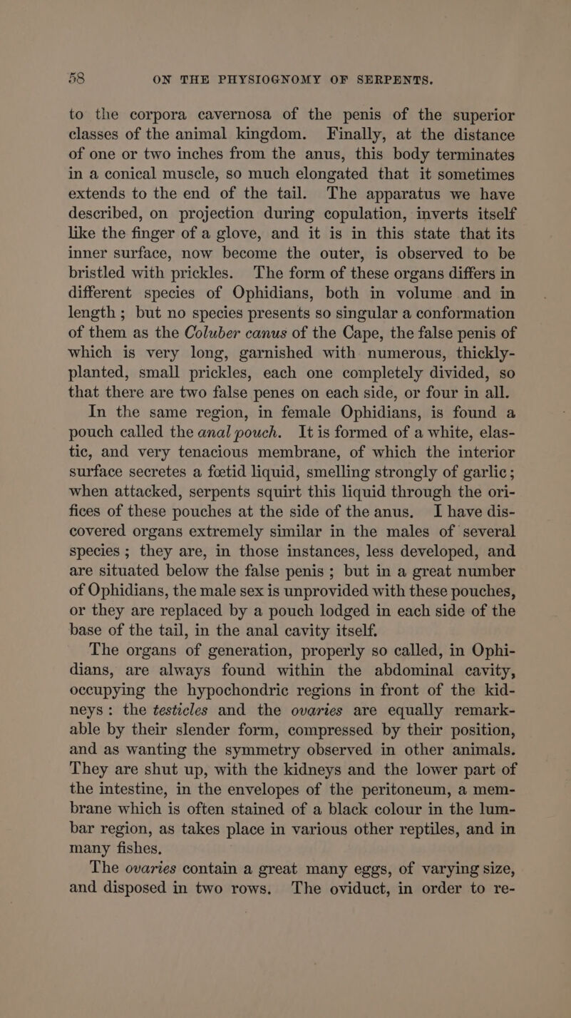 to the corpora cavernosa of the penis of the superior classes of the animal kingdom. Finally, at the distance of one or two inches from the anus, this body terminates in a conical muscle, so much elongated that it sometimes extends to the end of the tail. The apparatus we have described, on projection during copulation, inverts itself like the finger of a glove, and it is in this state that its inner surface, now become the outer, is observed to be bristled with prickles. The form of these organs differs in different species of Ophidians, both in volume and in length ; but no species presents so singular a conformation of them as the Coluber canus of the Cape, the false penis of which is very long, garnished with numerous, thickly- planted, small prickles, each one completely divided, so that there are two false penes on each side, or four in all. In the same region, in female Ophidians, is found a pouch called the anal pouch. It is formed of a white, elas- tic, and very tenacious membrane, of which the interior surface secretes a foetid liquid, smelling strongly of garlic; when attacked, serpents squirt this liquid through the ori- fices of these pouches at the side of the anus. I have dis- covered organs extremely similar in the males of several species ; they are, in those instances, less developed, and are situated below the false penis ; but in a great number of Ophidians, the male sex is unprovided with these pouches, or they are replaced by a pouch lodged in each side of the base of the tail, in the anal cavity itself. The organs of generation, properly so called, in Ophi- dians, are always found within the abdominal cavity, occupying the hypochondric regions in front of the kid- neys : the testicles and the ovaries are equally remark- able by their slender form, compressed by their position, and as wanting the symmetry observed in other animals. They are shut up, with the kidneys and the lower part of the intestine, in the envelopes of the peritoneum, a mem- brane which is often stained of a black colour in the lum- bar region, as takes place in various other reptiles, and in many fishes, The ovaries contain a great many eggs, of varying size, and disposed in two rows. The oviduct, in order to re-