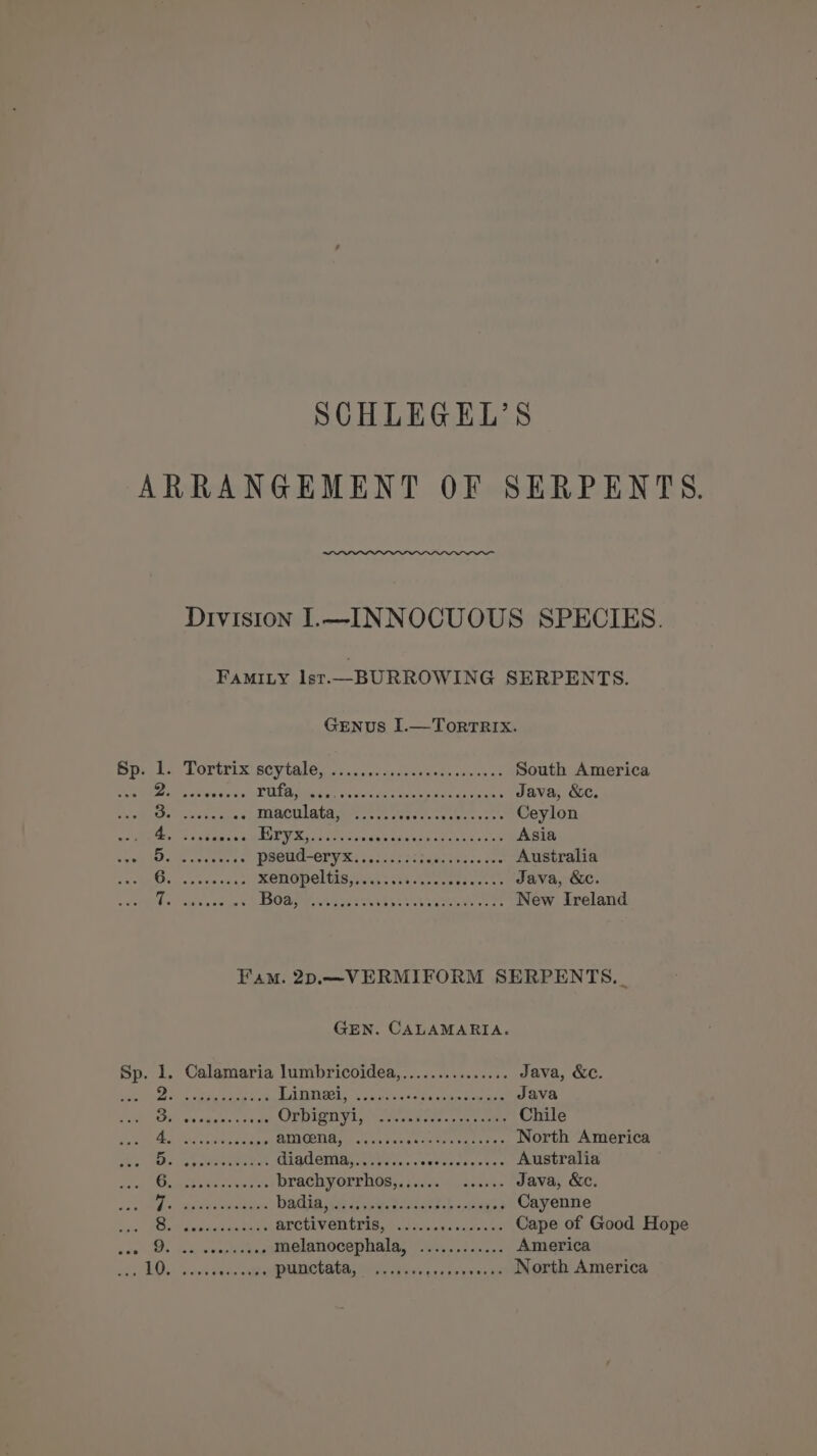 SCHLEGEL’S ARRANGEMENT OF SERPENTS. Division I.—INNOCUOUS SPECIES. FAMILY Ist.—BURROWING SERPENTS. GENUS I.—TorTRIx. rile LOLCRIX BCU ER RGus tos ordasanay cath ores de South America Rd es WEAN MMC an tiers es treet ave eo an Java, &amp;c. De sis ee cigs) SILLA sects Ponte og ees one Ceylon Beanies 2 à à PRES SENS RP NE OT NE Asia Det: un à 8 CÉROO IR OU PES Australia MR meute énopeltés,.s,i::51.2 ee Java, &amp;c. ANTON EE EU TRES RER EEE LUE ee New Ireland Fam. 2p.—VERMIFORM SERPENTS._ GEN. CALAMARIA. Sp. 1. Calamaria lumbricoidea,............... Java, &amp;c. Ea Re ee ART 2 PORC ESS cane pee te Java 5 RÉ EU EE à Orpigityl, ARR ET at ean Chile PAU RG AEC AR dates here dr PS North America Le ER DAT NE nes e Australia | + DNS TO TS brachyorrhos,, 0.4.5) +005. Java, &amp;c. Doc 25e baie 2. a Seb wes Cayenne jo, Hele tn sar ta ae BUCEIVER ERR dr cas Cape of Good Hope axe Ds sos: ovaplesaapeOINMOCOPDAl as 5,52 America NEA LME ere DAC ses scree sede North America