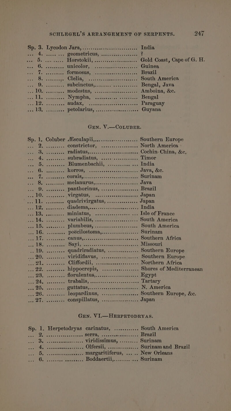 SP. 3. € ae EMER yo ev Gh ex D CE ARTS India SNS ake PORGRT INS: nr Sec’ eae Te eg ee HOPPER ner ST Gold Coast, Cape of G. H. Gor ton crete DATÉE ssc case en eee Guinea La opm TOLMER ec tse ER ihe Brazil Bai ss chin civic RRO RMI NES Ack ba Re nes South America it Mere PASS EE street Bengal, Java ER L 1 OPA DOUDNUIS EE, ee Amboina, &amp;c. aan be tines cane IN VER PUES, ve oe Tee ae Dee Bengal Ge OP bee hee UCAS NE ENT eee eee te Paraguay a: ALERT oe PODOLATTIBY oc 5 canta serait ... Guyana GEN. V.—COLUBER. Sp. 1, Coluber Alsculapiijccs. i occcs- ss cee acd Southern Europe BOM Ghee eta COUMUIECTOL A nee au means North America Re Se BTOUIALUS RTE Dies uss ee conte .. Cochin- China, &amp;c, SR ETS net subradiatus, ..... Rs Timor Dar site Blumenbachil, .:.......:. a+ India 6 POLLO G8 D. Lens va FPE RE SRE Java, &amp;c. Ms + ARR PATHS ch Ucar os/ Kner once ARRER À Surinam aa PE DONS sa ic hed p sims rer Java UE PRE AS WANA DGPINUS 525 ee Brazil Poet Bile th EC 2 11 17 AMEN MORE RE AE Japan RE 1 tot et quadrivirgatus, ............... Japan Ml) (Caer EEE à FF 75 |: à 1: APCE RTE Pr India VAE AE renee PALAU, ae ses Isle of France ah AR Saran hae is ie LE Men en RU South America RU eee DIU DORE SL: bahia nas let sus South America Feta RE EU Lt poscilostona see Surinam eh ens testa RUNS nn ue Le Southern Africa à ORDRE A à PE PA PE NPC Missouri CR + ORNE Lu ie LT à SS 15505 vane cleats Southern Europe RS OE ene ste | CHOEUR Re ne Northern Africa ie &gt; see DERDOGIED Ne oy crass oxy eee Shores of Mediterranean Cae REA Hoenlen tus 72,7 ee Egypt Be eye fae à LS CARRE RARE Res Tartary FR 1 Be PA Es MURAT Lure vous Nanou N. America PO DR Re leopardinns, :...:....4,, ».. Southern Europe, &amp;c. DT conspillatus....14/,.5.nus Japan GEN. VI.—HERPETODRYAS. Sp. 1. Herpetodryas carinatus, ............ South America MR A EE RARE BRAS s 2: LR CO AURONT Brazil PAR DO DLL pend à pi ist MON PERS Surinam Pee PS PRE oe CUPOLATE open doe Surinam and Brazil DCR .…... margaritiferus, ... .. New Orleans [ROSES mins BoWisertit, 15022 … Surinam