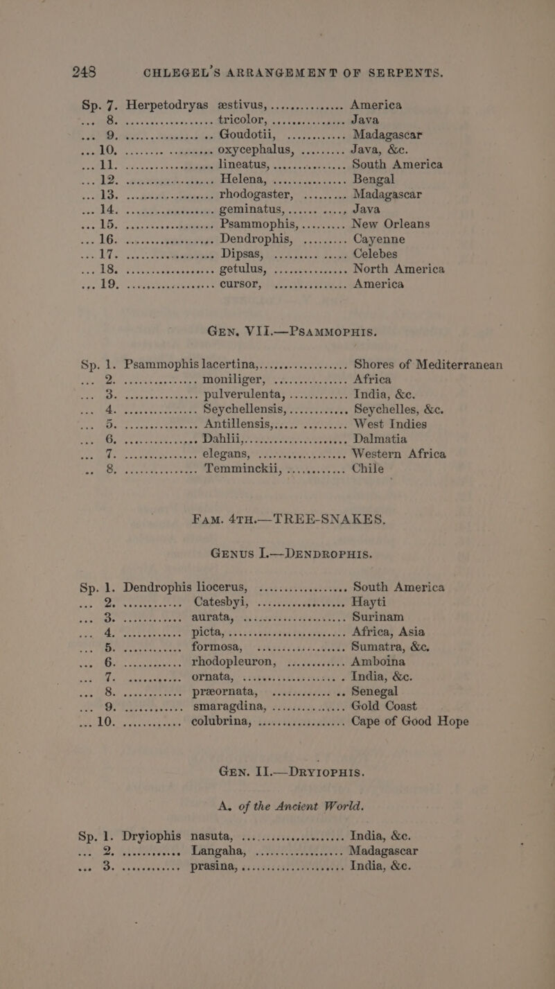 na : Herpetodryas estivus, ............... America shales EPICOLOT Ss: 5.0 « b0.5.0 se 0ndpu ene +. * RER PA Honor. eve Madagascar RO nas see es HÉEER oxycephalus, ......... Java, &amp;c. ee 8 beret RE TT NRA DER South America 12. core Helon de aa Bengal ad bs Sees ee rhodogaster, ......... Madagascar ent See ee geminatus, ........... . Java wise De: pukg thw e on TS Psammophis, ......... New Orleans sav AGE l.6 NE Dendrophis, ......... Cayenne ss. 115 42. ee Pipe TRS Celebes RD Fe APPARUE PE EI petulag 754. cree North America ADN rer CurSO 4. oes: America GEN. VII.—PSAMMOPHIS. Sp. 1. Psammophis lacertina,.................. Shores of Mediterranean Dest pepe ra TOMHIger we cree Africa STI col esea gee pulverulenta, ............ India, &amp;c. Bio de ks es oe ae Seychellensis,............ Seychelles, &amp;c. Der NES Antillensis,::... 0.0.0... West Indies Là AA GO Ar die» 528 ERA Ri REP À LE Dalmatia HET RSS pee ClOVONS, TR Le Western Africa APRES MAE Temmurinckit, 40.0... Chile Fam. 4TH.—TREE-SNAKES. GENUS L—DENDROPHIS. Sp. 1. Dendrophis liocerus, ...............06 . South America De viniehiatrer Catesbys 15/4. ret Hayti beet tenets eens ULAR g ios based stiie fdas CA Surinam Oeics sr PASS: 25 weaned Ges Parade Africa, Asia fg tat aA oS POYMOSA, Mills ire dede Sumatra, &amp;c. Gin RARE rhodopleuron, ............ Amboina Tos aecanceetoes OPNAG, «226005 sons cette . India, &amp;c. TR præornata, sise tés Senegal PR Fee sty ey ESS 2 smaragdina, ............... Gold Coast pe FE AE my colubring, is: len Cape of Good Hope GEN. Il.—Dry10Puis. A, of the Ancient World. Sp. : Dryiophis neste, 51415526, MUST India, &amp;c. vices HAL Langaha, wsecsccccseeaceses Madagascar ST + RÉPARER à PEOMAG, 6:56 ces Pree eee India, &amp;c.