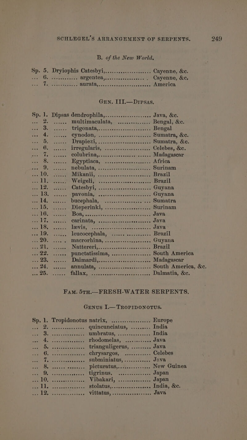 B. of the New World, Sp. 2 Dryiophis Catesbyi,................0000+ Cayenne, &amp;c. haere nee argentea,........,........ Cayenne, &amp;c, . ANSE a ls Ae an terasse de +... America GEN. III.—Drpsas, Sp. 1. Dipsas dendrophila,..................... Java, &amp;c. PR RUN NE multimaculata, ............... Bengal, &amp;c. LS RARE TRAME, ban nécose es ni Bengal ae Dies AY OOON Ne ne avr ET Sumatra, &amp;c. EMEA RET E PAUSE, Lies adore. LION Sumatra, &amp;c. OT PATTERN ture os Celebes, &amp;c. Sloane COLA DWAR sg? wie thiladk odes tds: Madagascar PIRE Hype ren at NE Africa EL CARE nobDulate oo. A0 CURE Surinam en LOT MER ELIMI ber LCA ganreviee culasse Brazil tg se ANR os case wens sects can Brazil 5 + Ree ois. CARO D PEN anses Guyana “al: Ber ae POVODERD cic scts ays resta tee) Guyana ated A eee NUCH BINGE etre nie ete de Sumatra Re Wee re Dieporinkl Wh ivisey mascetwantegeee Surinam F511 APR BOBS ec evieas Cangsuaeatddicn pore Java DE Pears CARIDA TA, 2,2 cons tre AN RTE PU À ARE LRVIGe re cer LR ete ua Java HD de leucdcephala AE. Brazil RAD MA GT ORAN .S rene tanespenrs Guyana RES ne Nate RE nas Ode Le Brazil FE + EN de punctatissima, 2... vers South America Vimeo sacar. RSA ER Pa RER ere PERS Madagascar PT: Tes LAS LUE SERPENT ARR South America, &amp;c. ap 1 aot TRIAS cae oth ora sca ad toes ace Dalmatia, &amp;c. Fam. 5TH.—FRESH-WATER SERPENTS. Genus I.— TROPIDONOTUS. Sn.) Tropidonotus natrizy +f wc. ts Europe SE hiv savoie tons quincunciatus, ......... India Be hornet METAL gas cue India RARE rhodomelas, ............ Java De. édit trianguligerus, ......... Java à RARE APTE CRPVAAPE OM | oases err cies Celebes Pose eue isne: CE DIMMU och op detainee Java aie oe DEER OURS teases scree New Guinea De we eats easue Le RTPITUB arr dust Japan ais RE NaDAKATLS ner Japan ae Ah EMREPREE.. tre BLUIALUR en rer India, &amp;c.